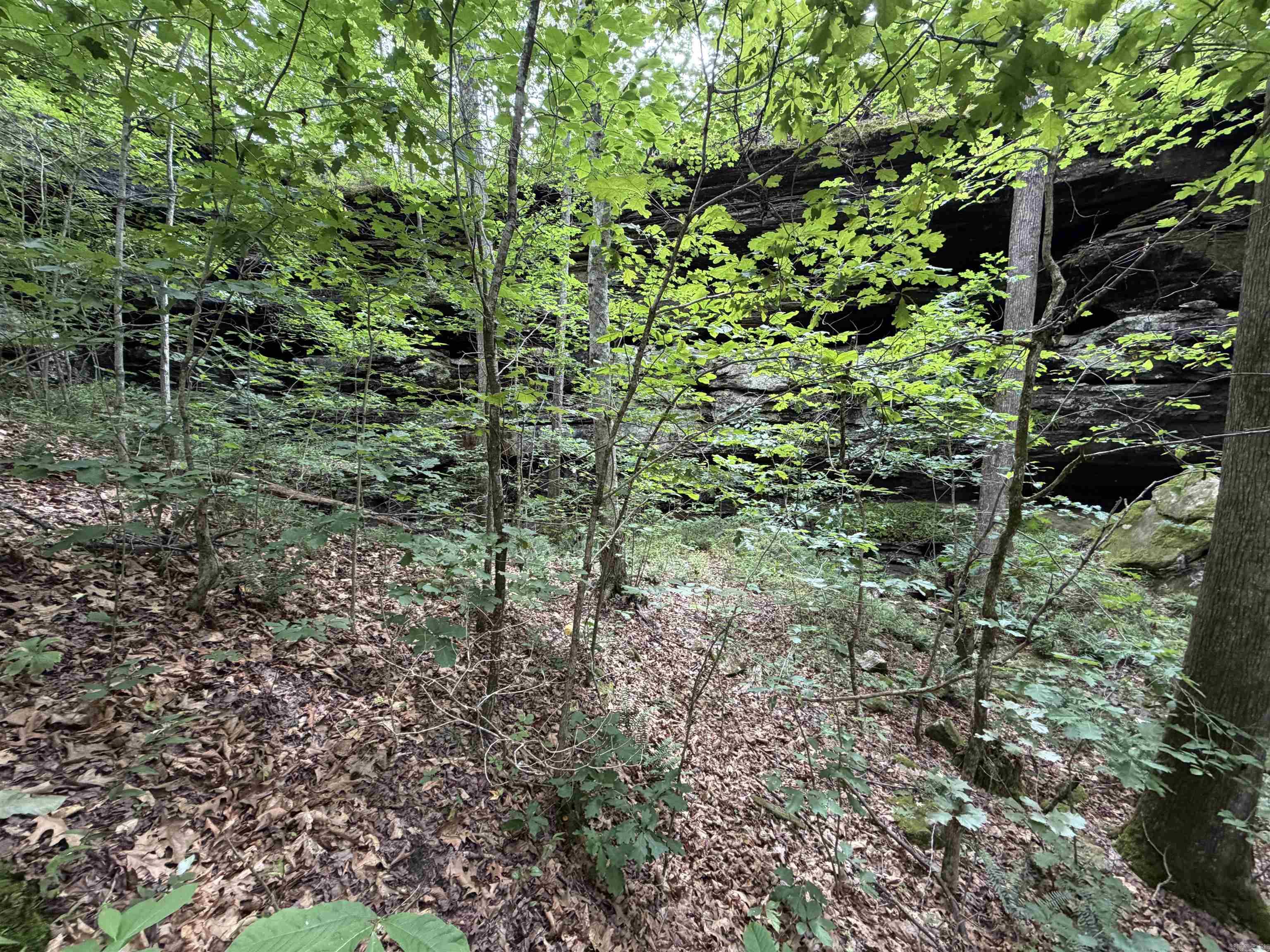 444 Cedar Cabin Lane  Calico Rock, AR