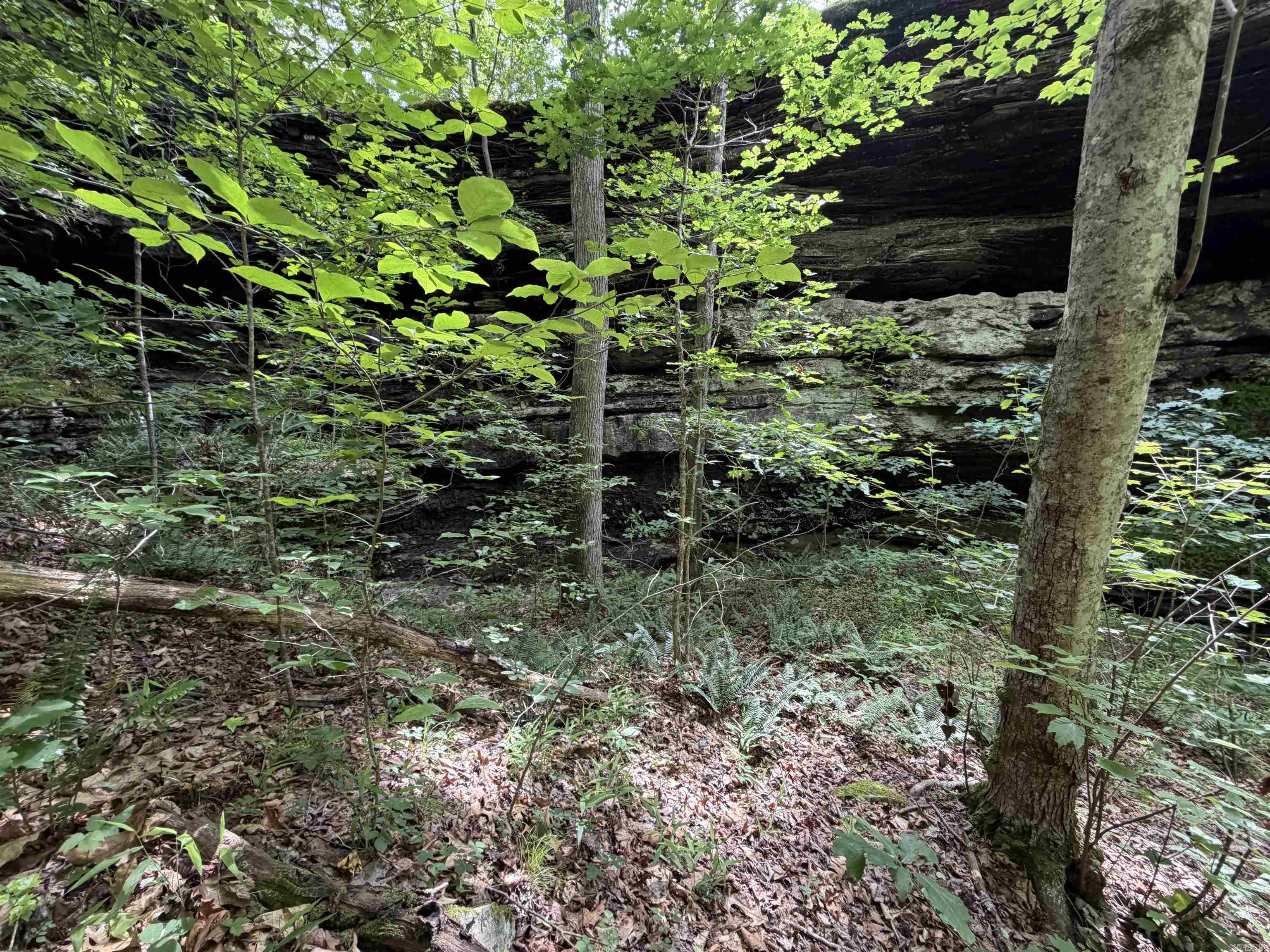 444 Cedar Cabin Lane  Calico Rock, AR