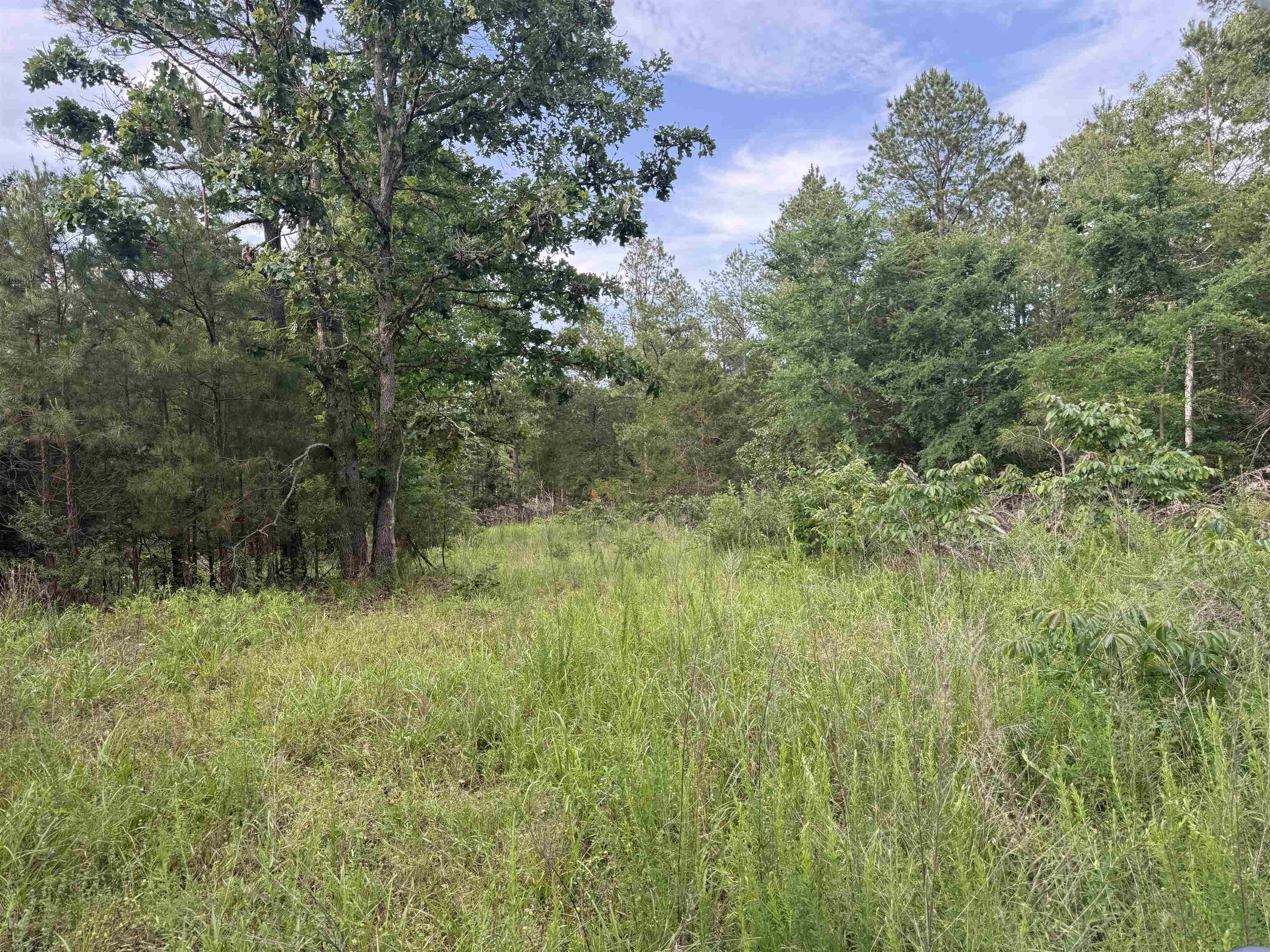 32A Kerley Point Road  Elizabeth, AR