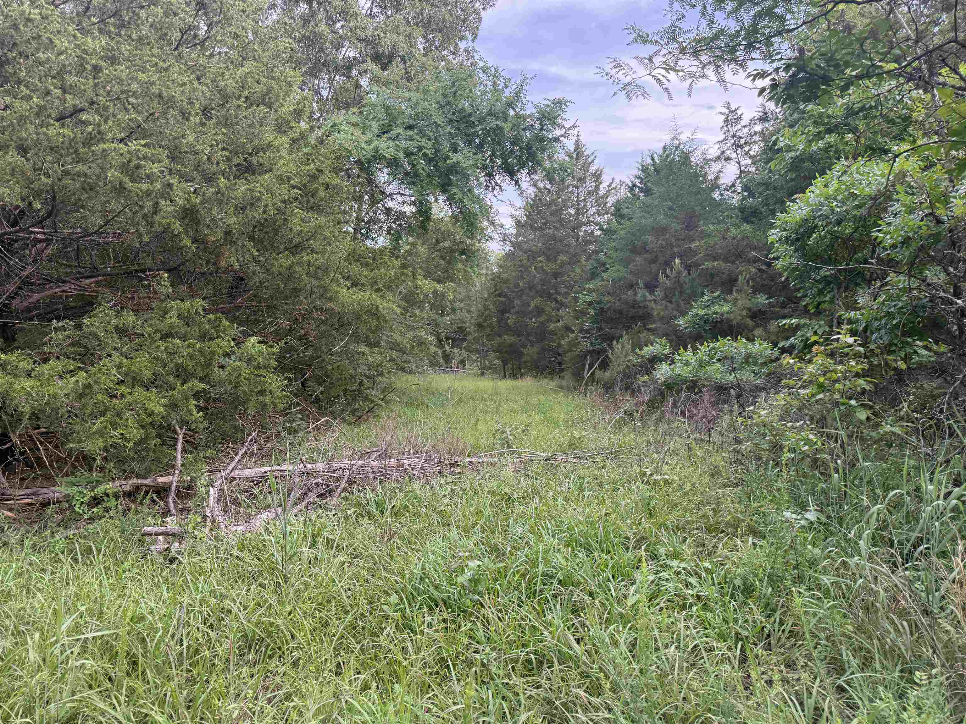 32A Kerley Point Road  Elizabeth, AR