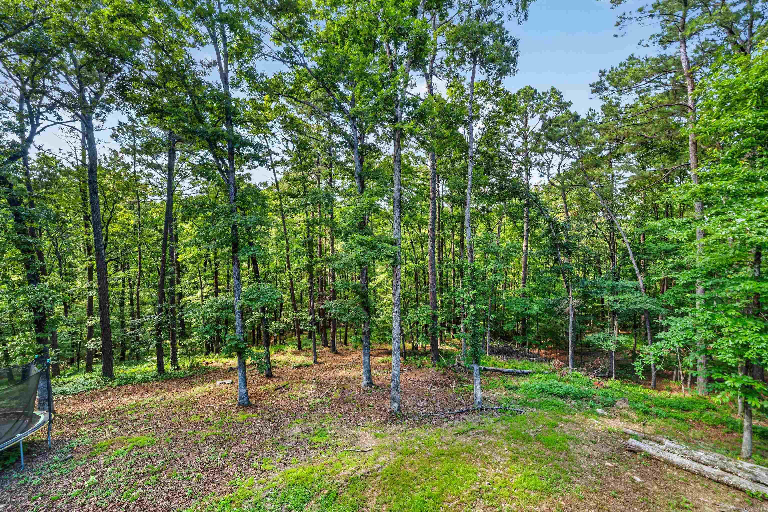 914 Oakgrove Rd  Royal, AR