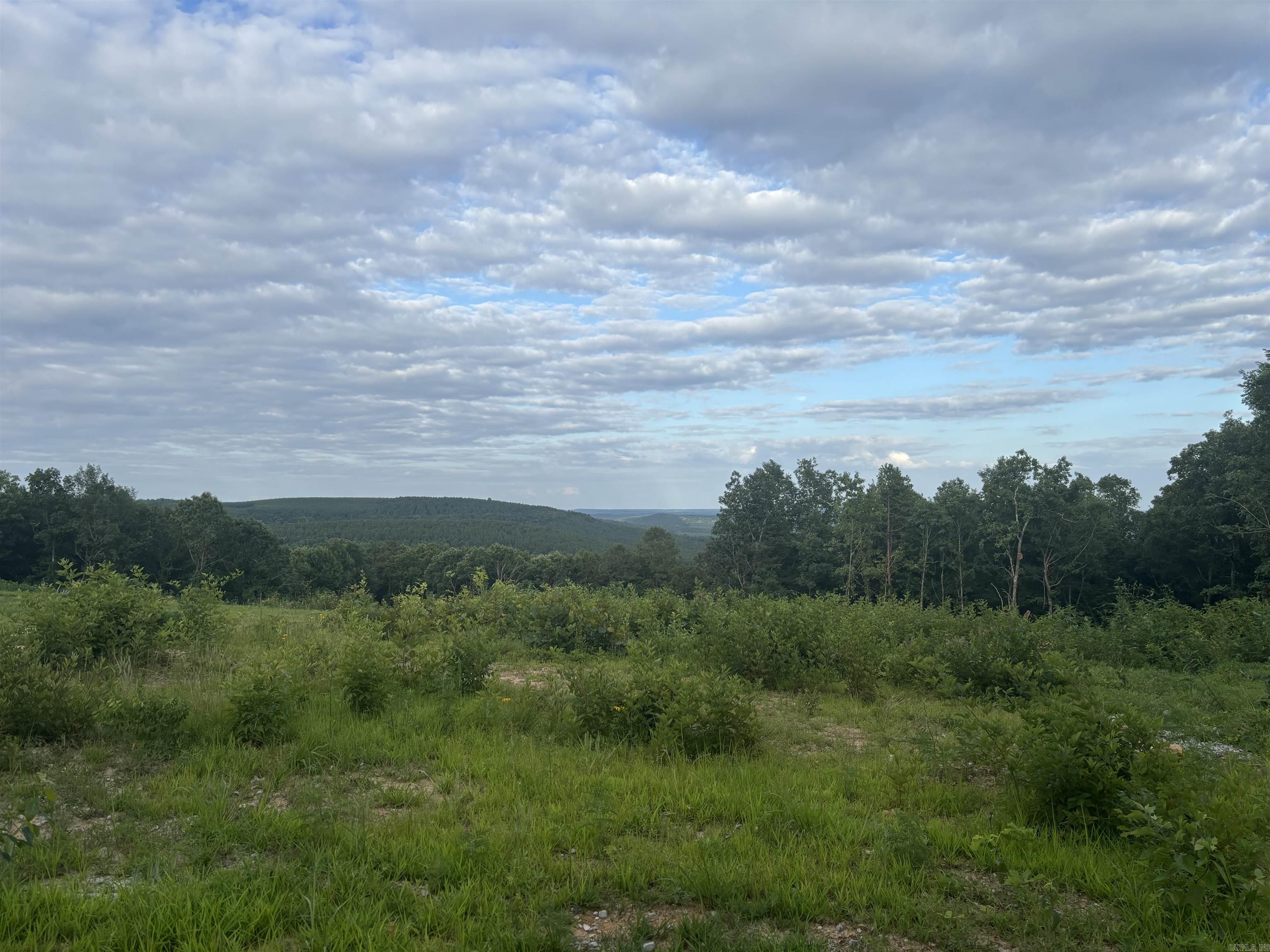 2095 Dry Mountain  Drasco, AR