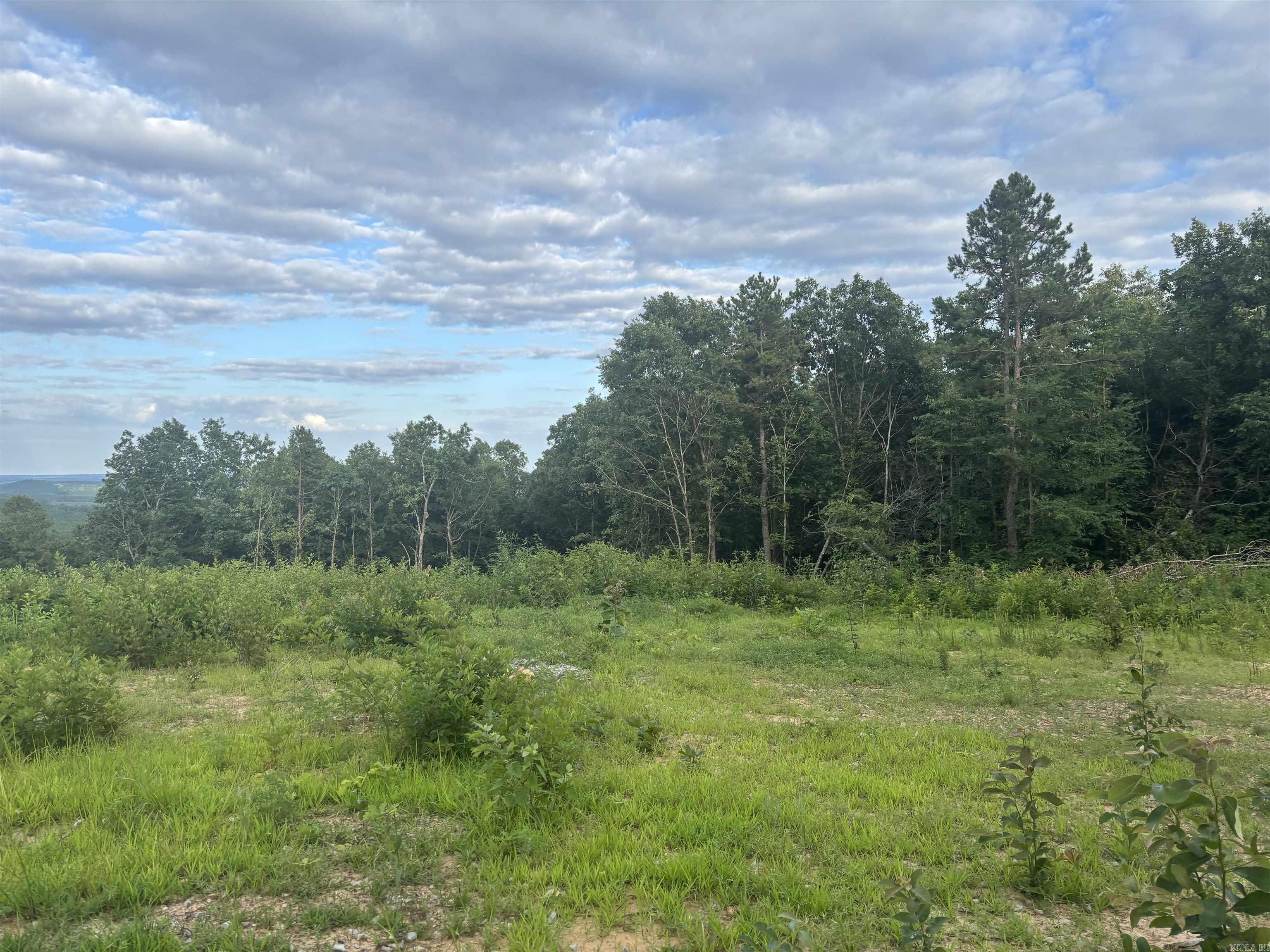 2095 Dry Mountain  Drasco, AR