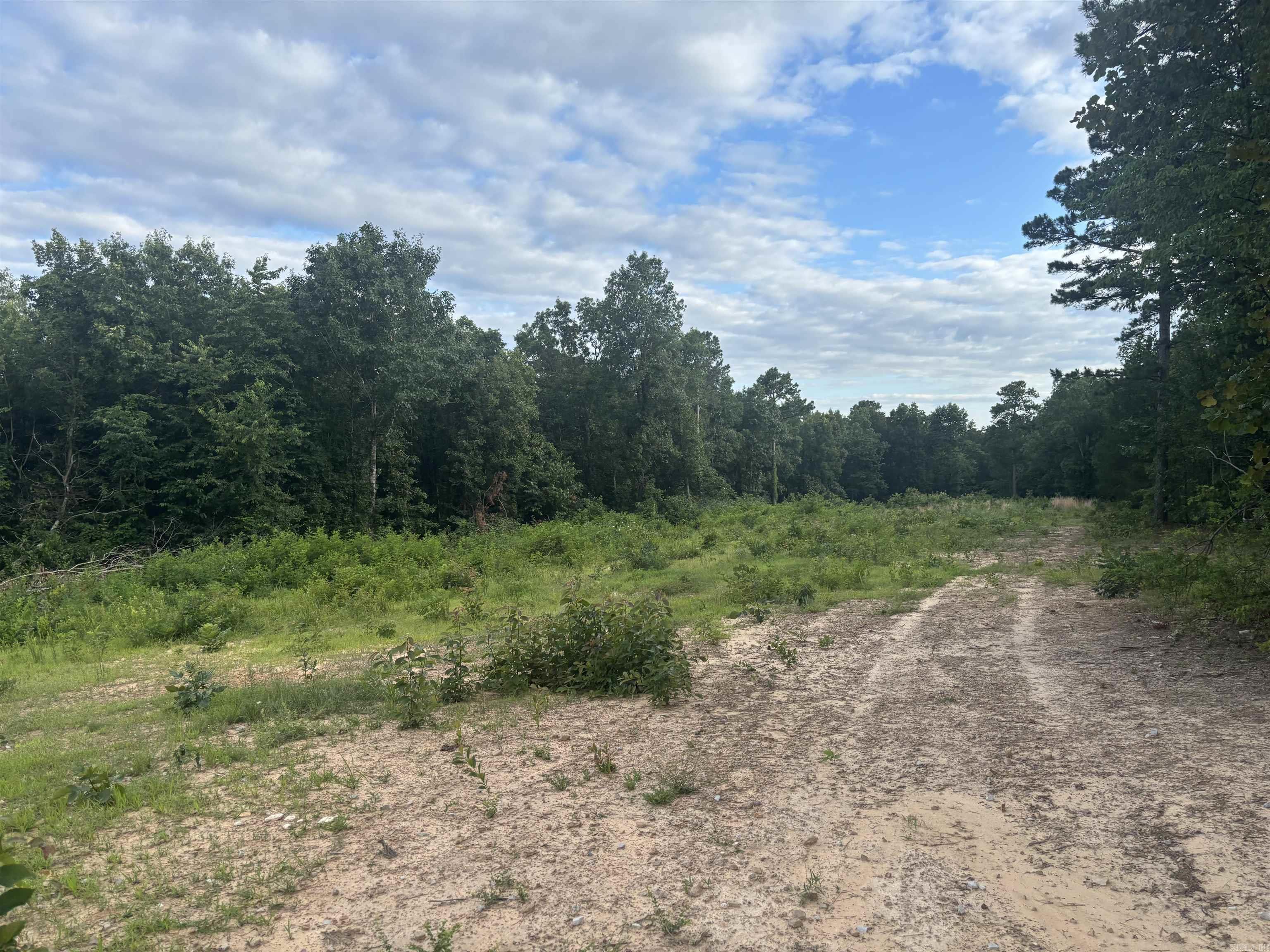 2095 Dry Mountain  Drasco, AR