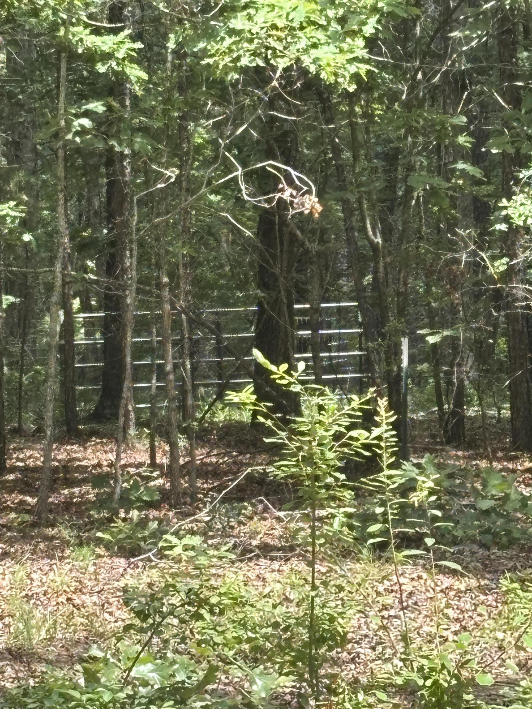 18000 FEDDER RD  Bigelow, AR