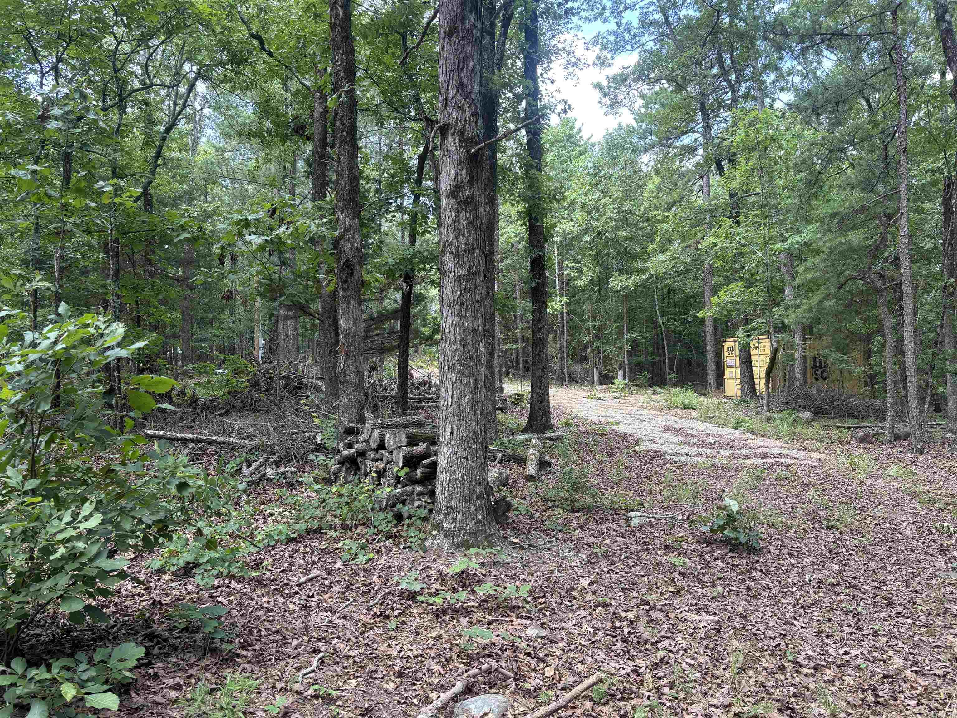 18000 FEDDER RD  Bigelow, AR