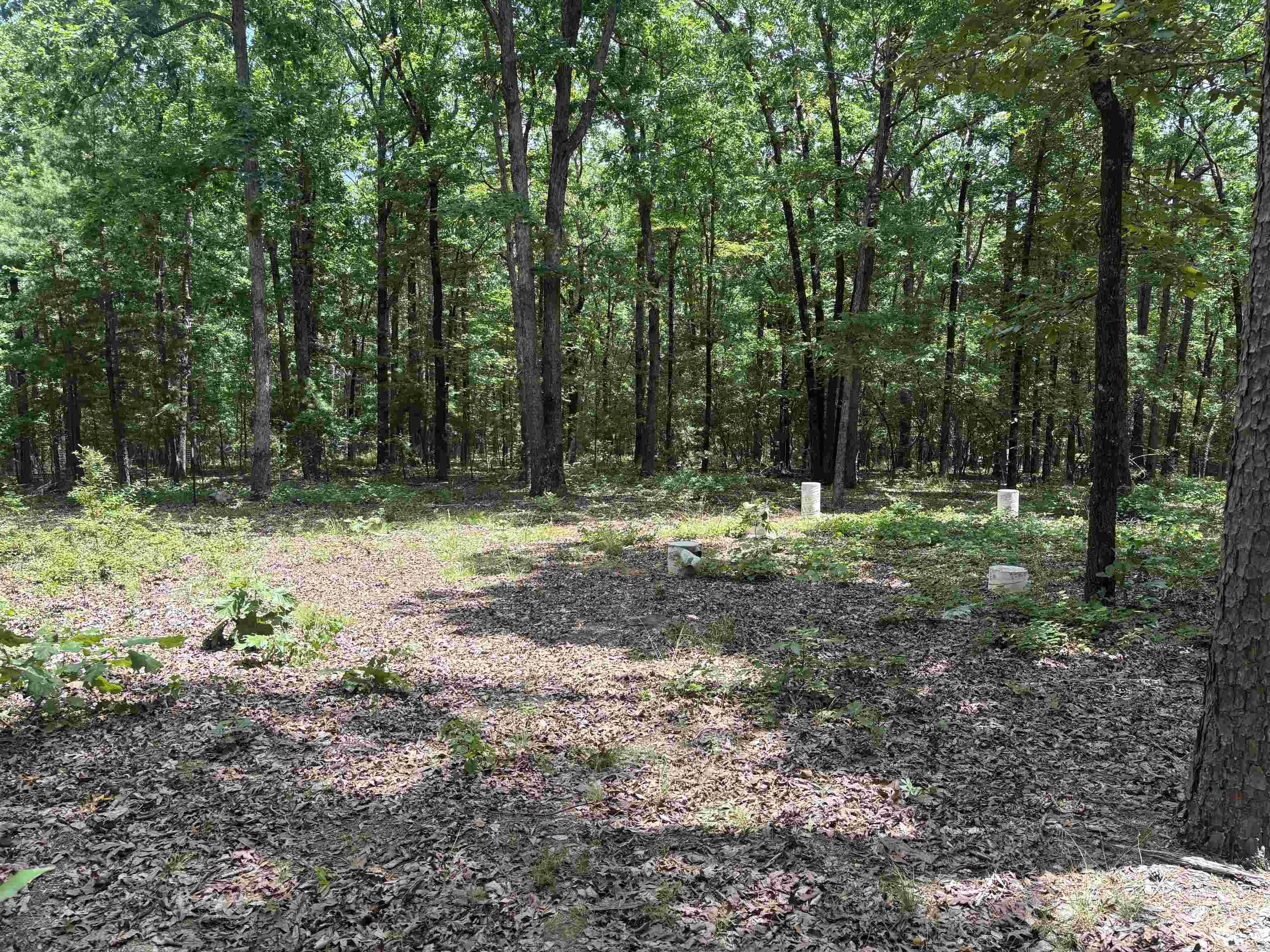 18000 FEDDER RD  Bigelow, AR