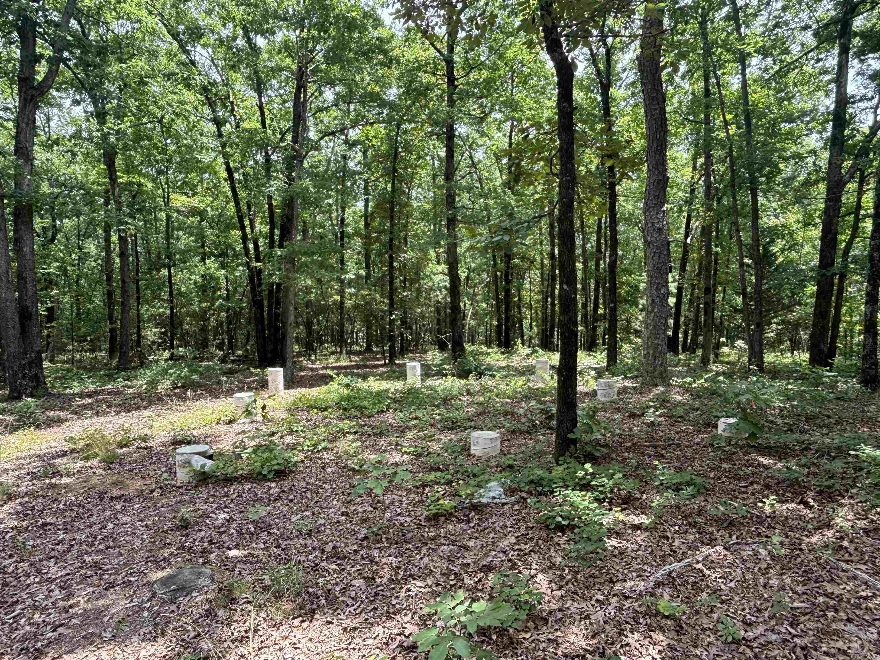 18000 FEDDER RD  Bigelow, AR