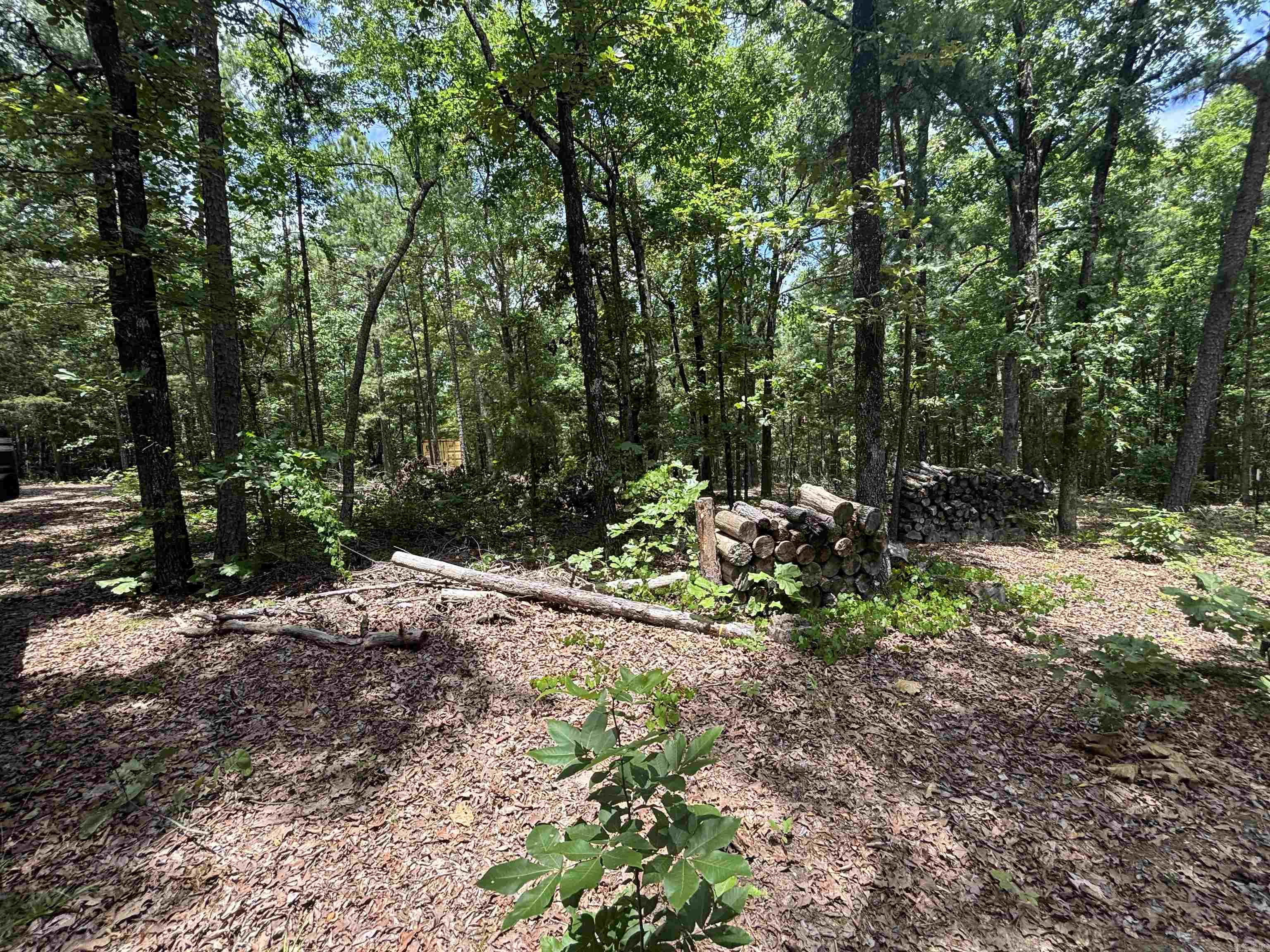 18000 FEDDER RD  Bigelow, AR