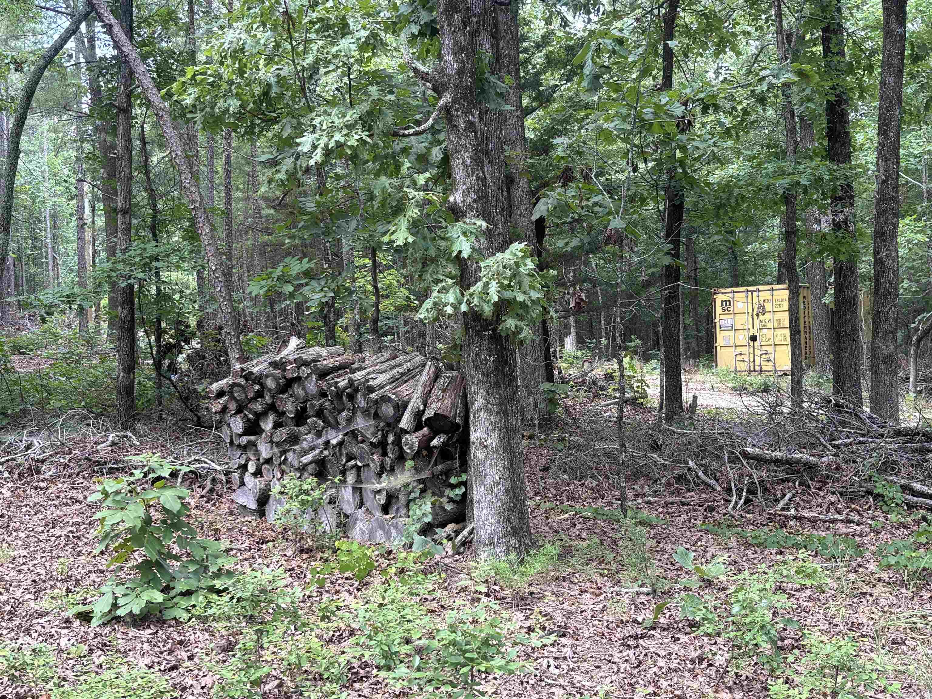 18000 FEDDER RD  Bigelow, AR
