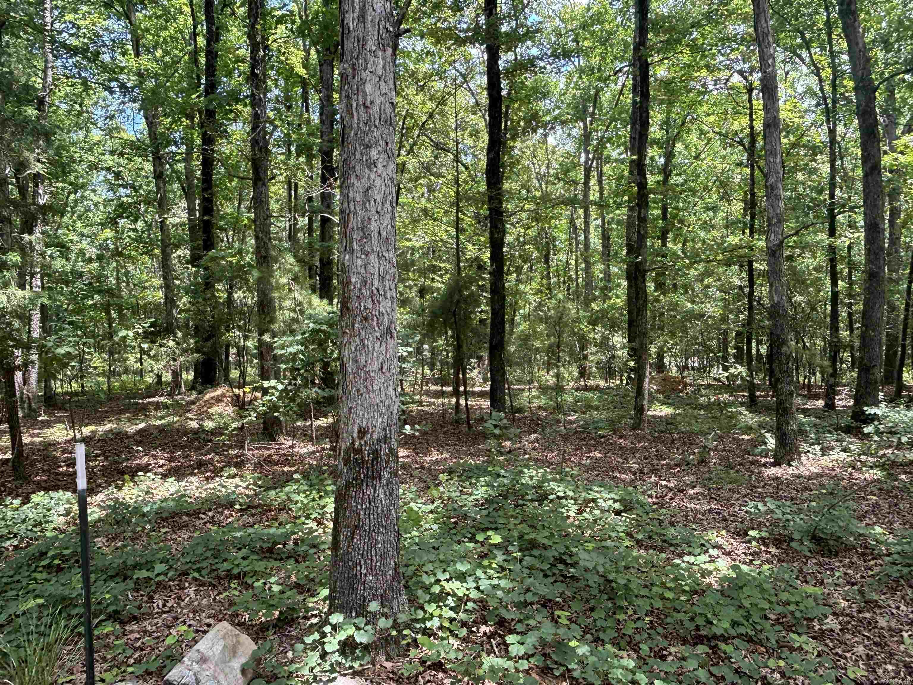 18000 FEDDER RD  Bigelow, AR