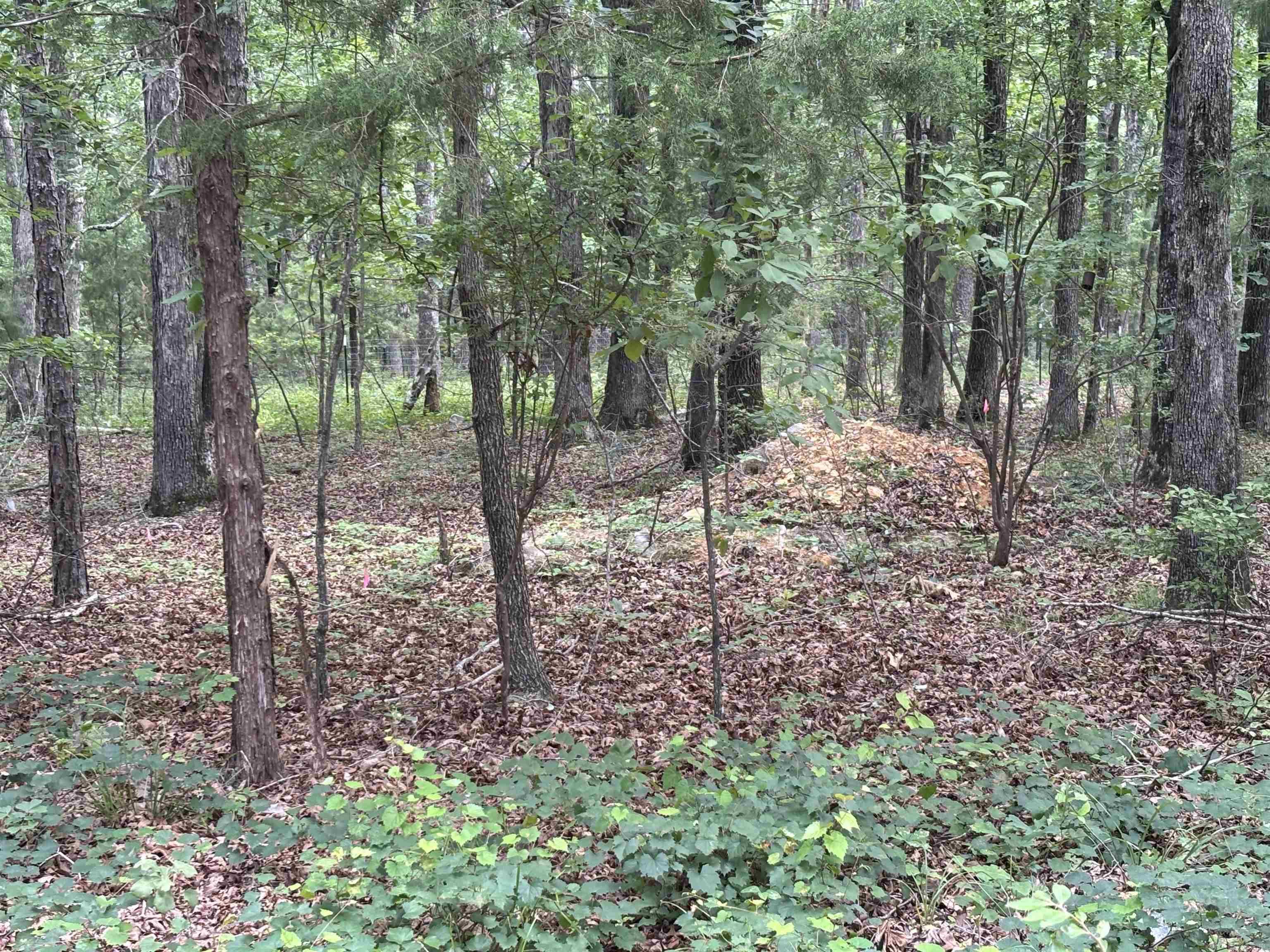 18000 FEDDER RD  Bigelow, AR