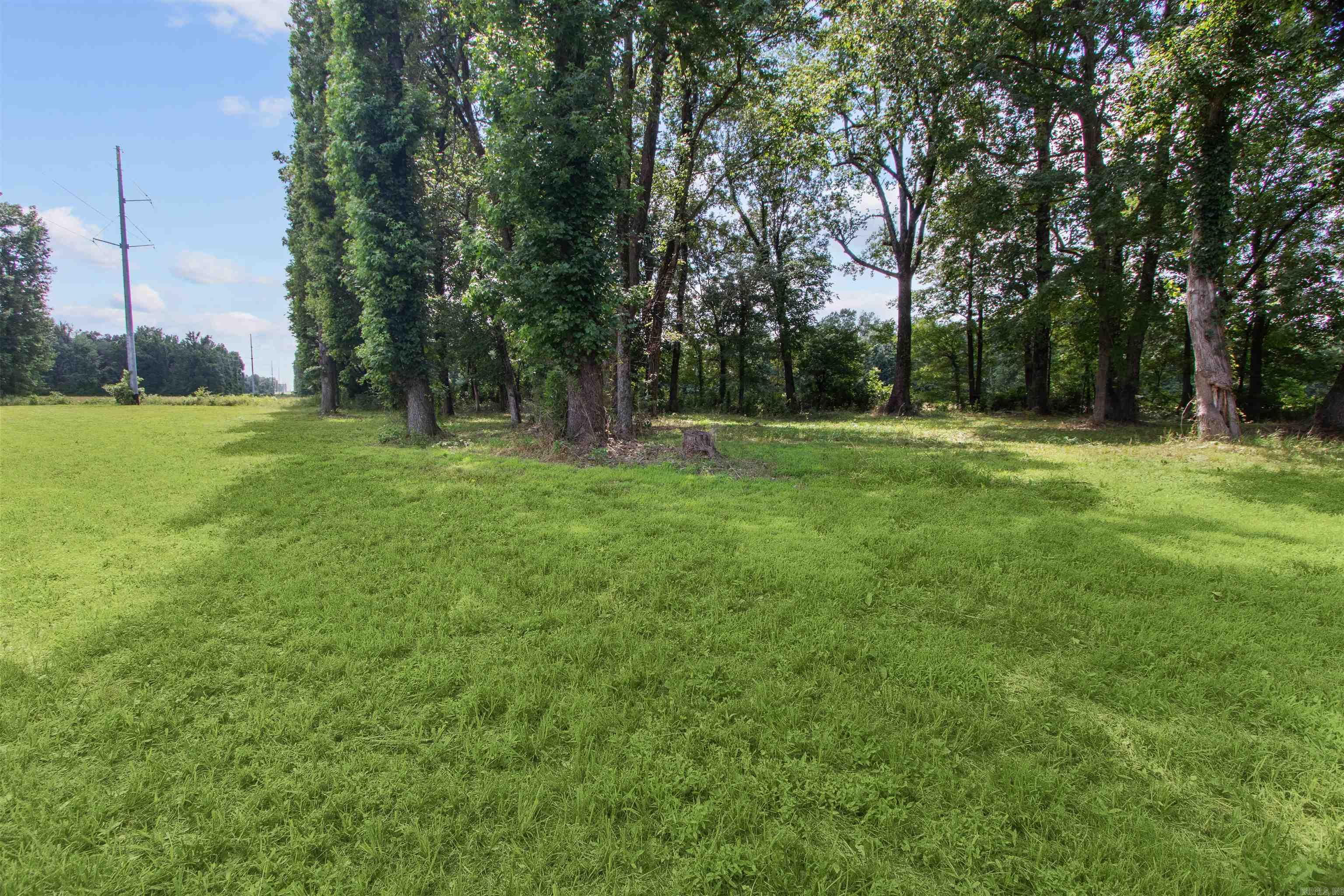 3616 County Road 766  Jonesboro, AR