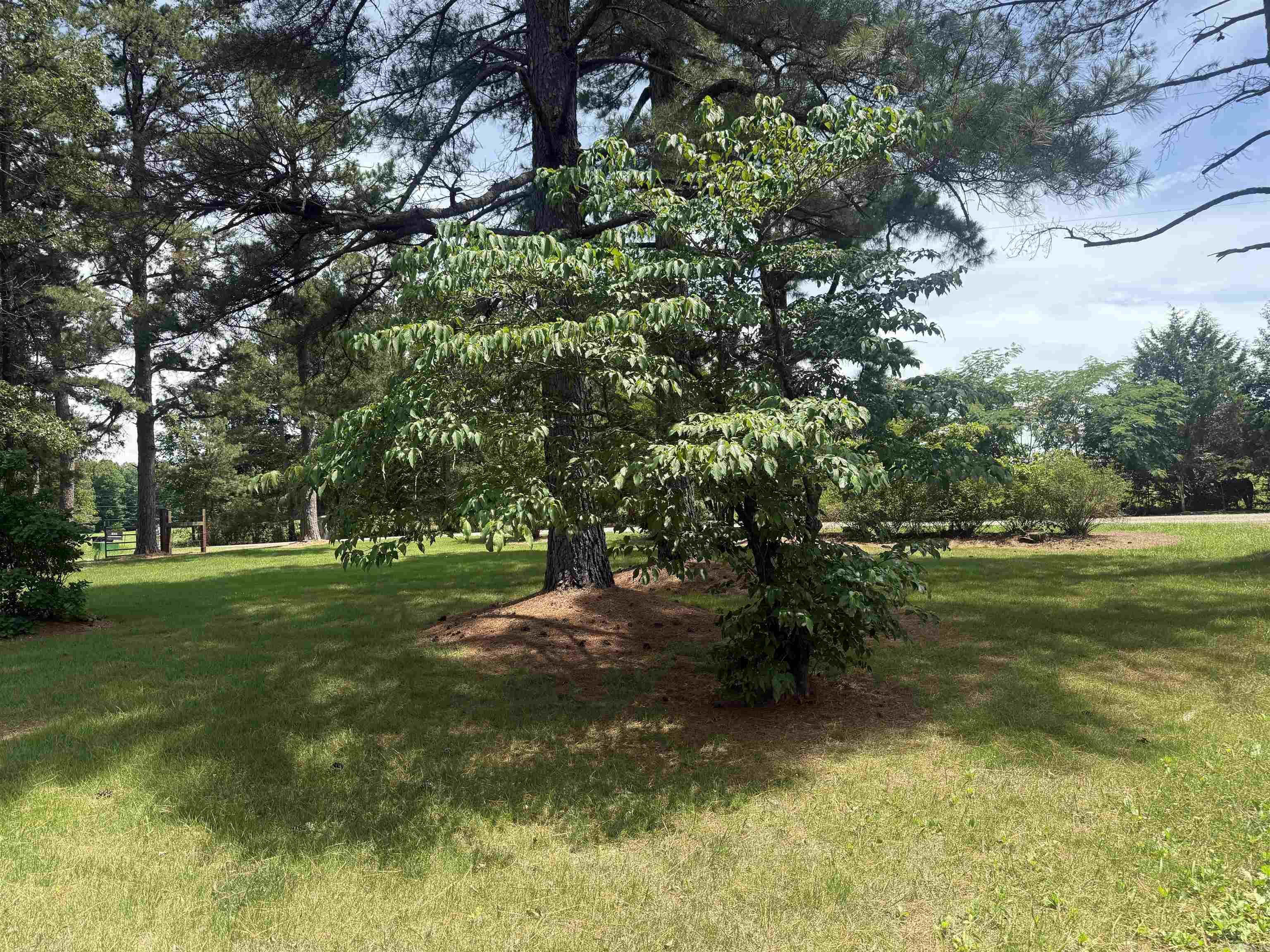 245 Berry  Concord, AR