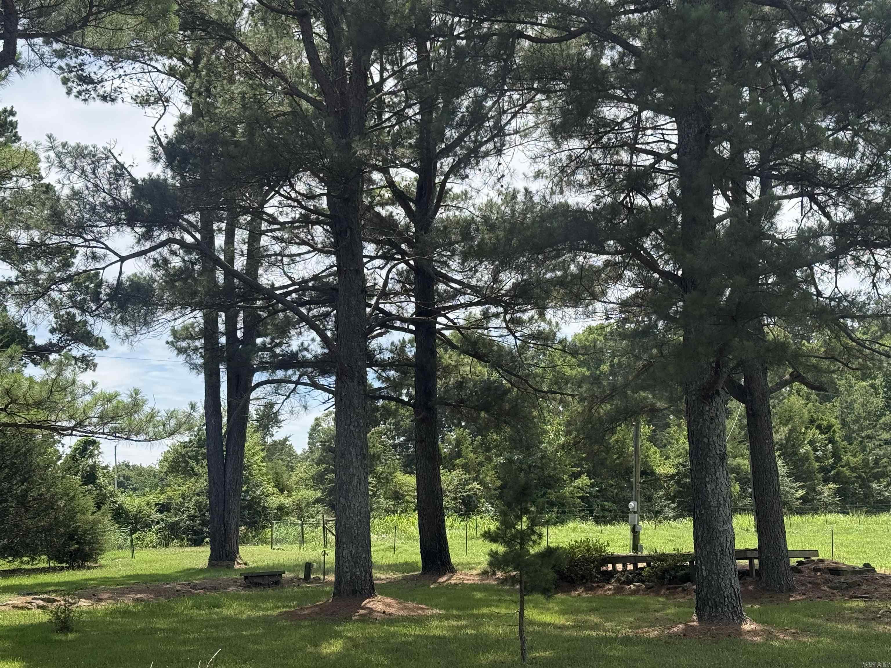 245 Berry  Concord, AR