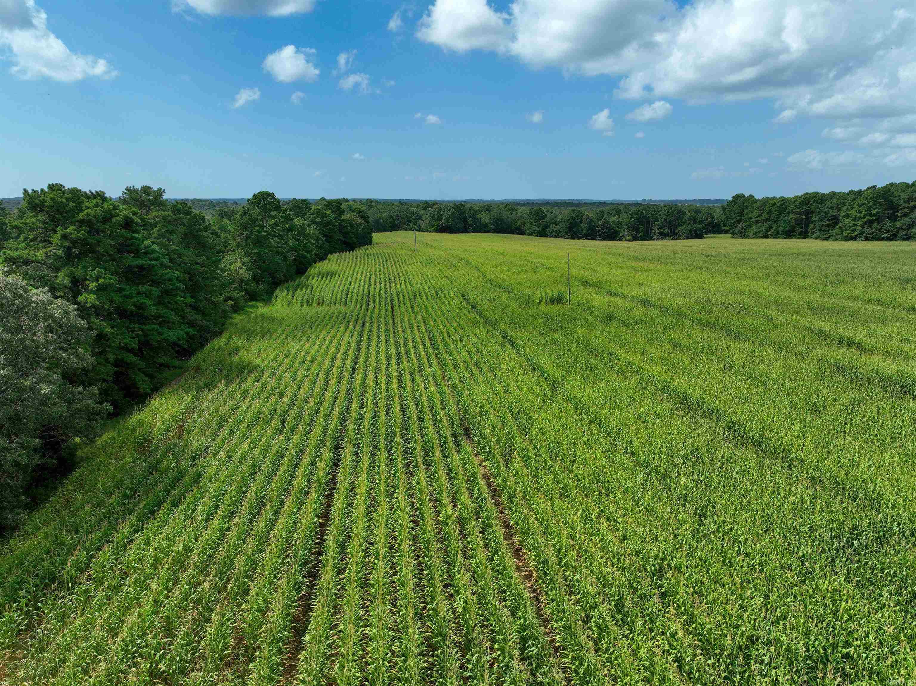 548 Cornerstone  Pleasant Plains, AR