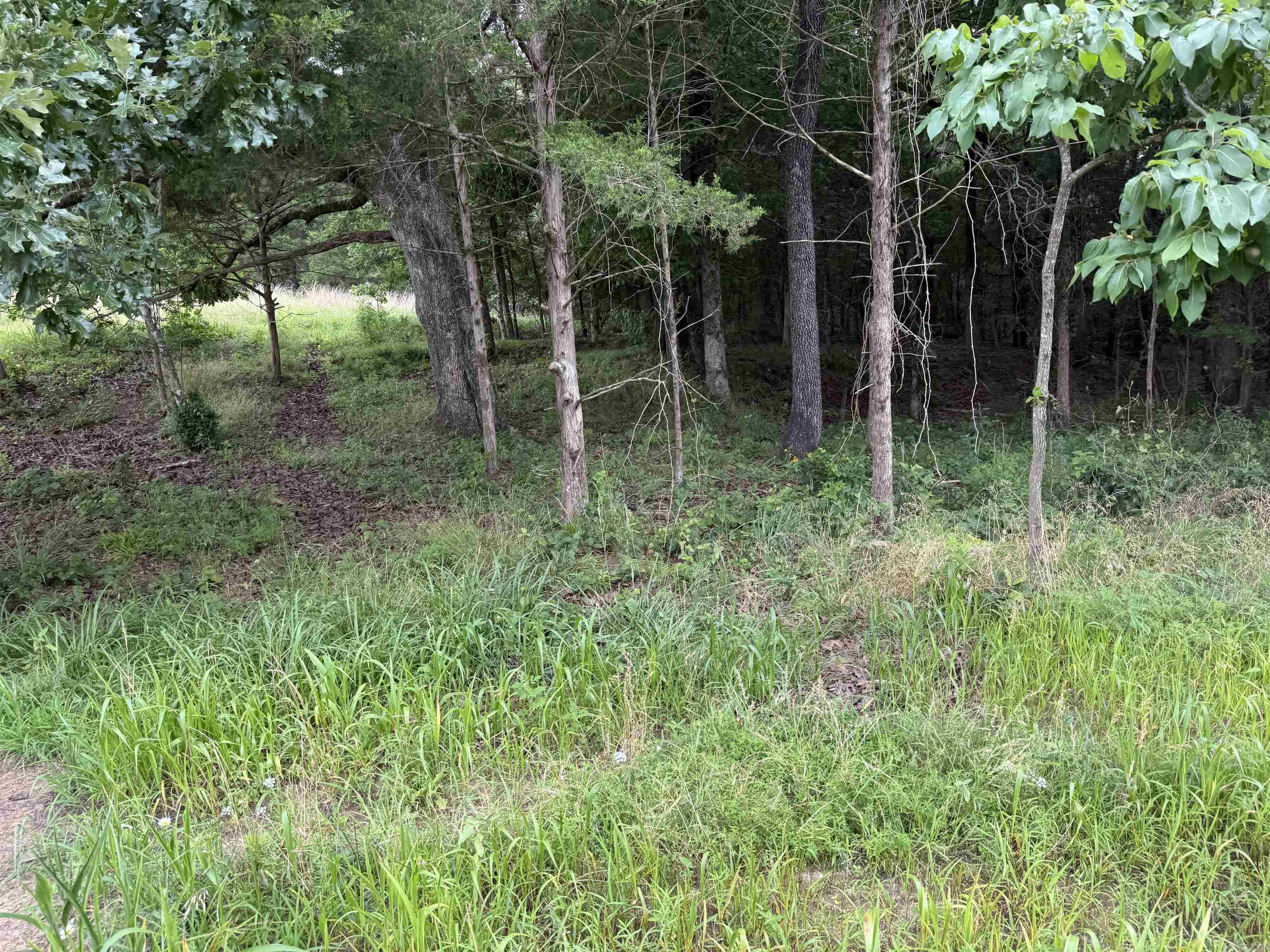 801 Fox Den  El Paso, AR