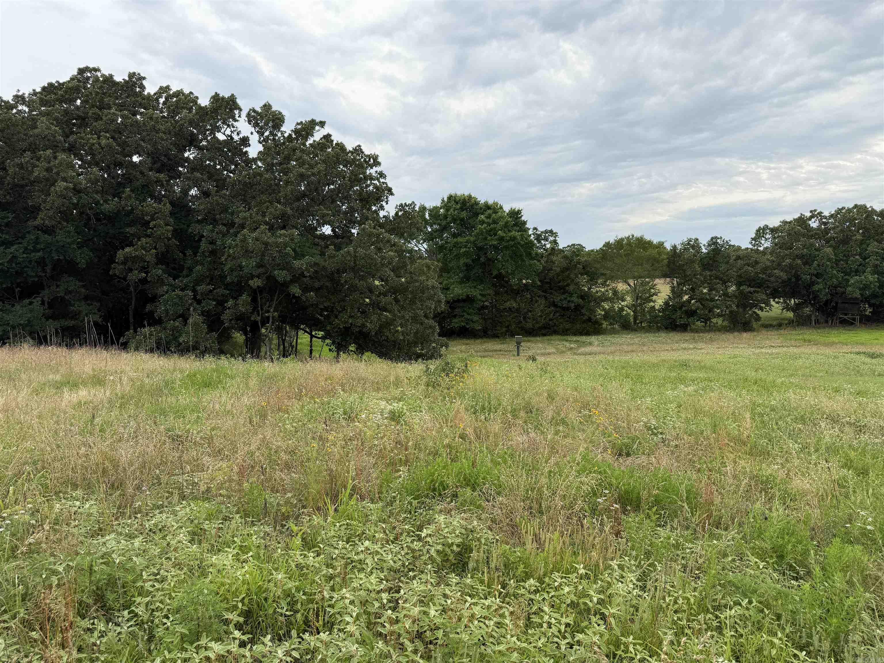801 Fox Den  El Paso, AR