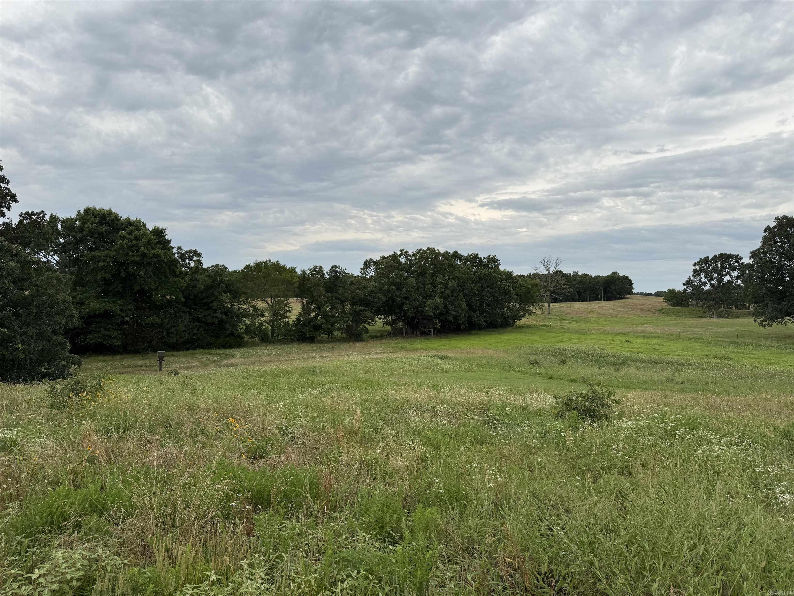 801 Fox Den  El Paso, AR
