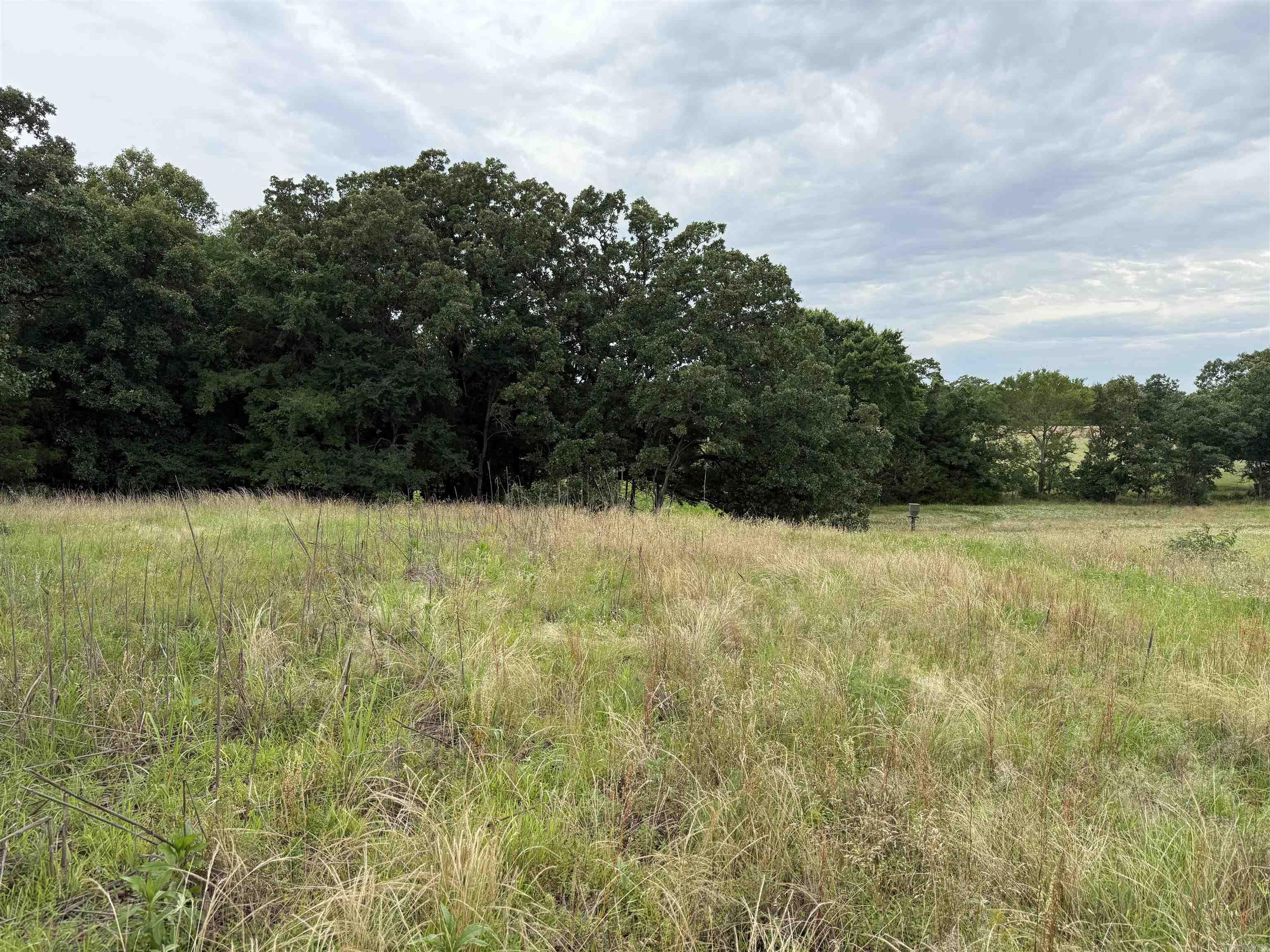 801 Fox Den  El Paso, AR