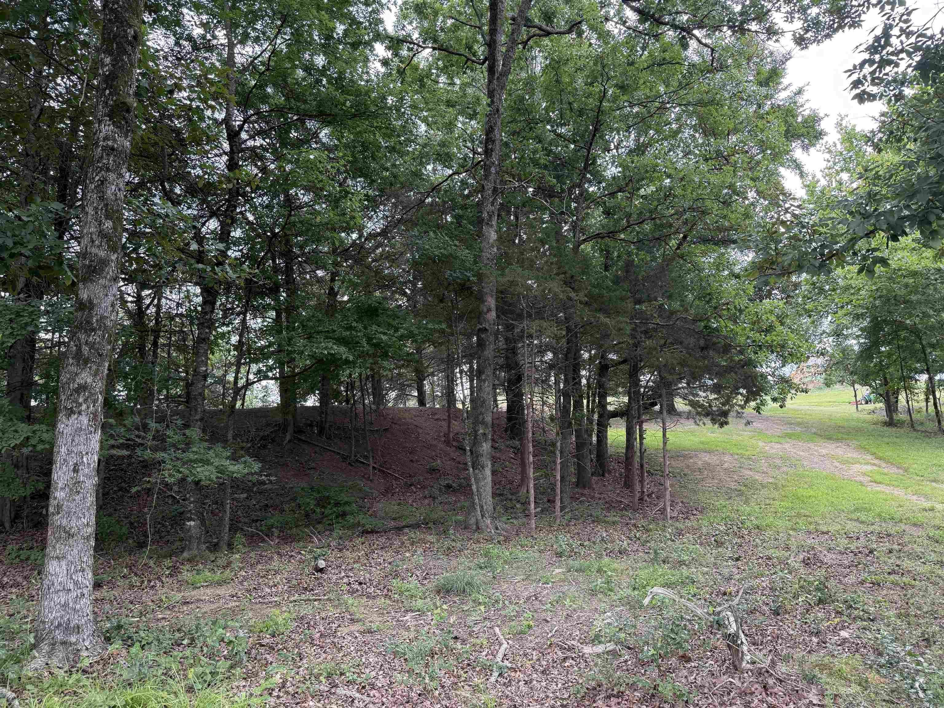 801 Fox Den  El Paso, AR