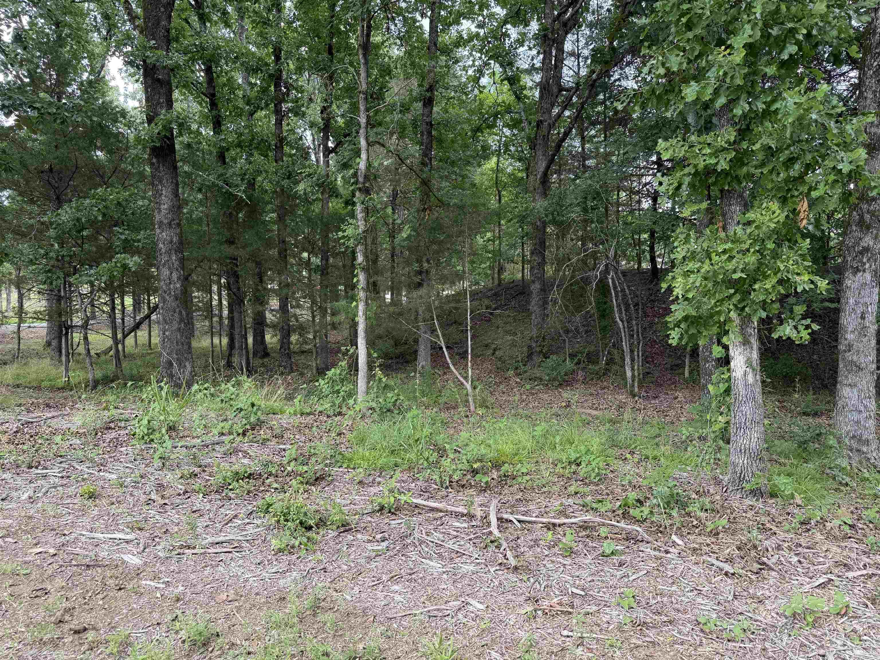 801 Fox Den  El Paso, AR