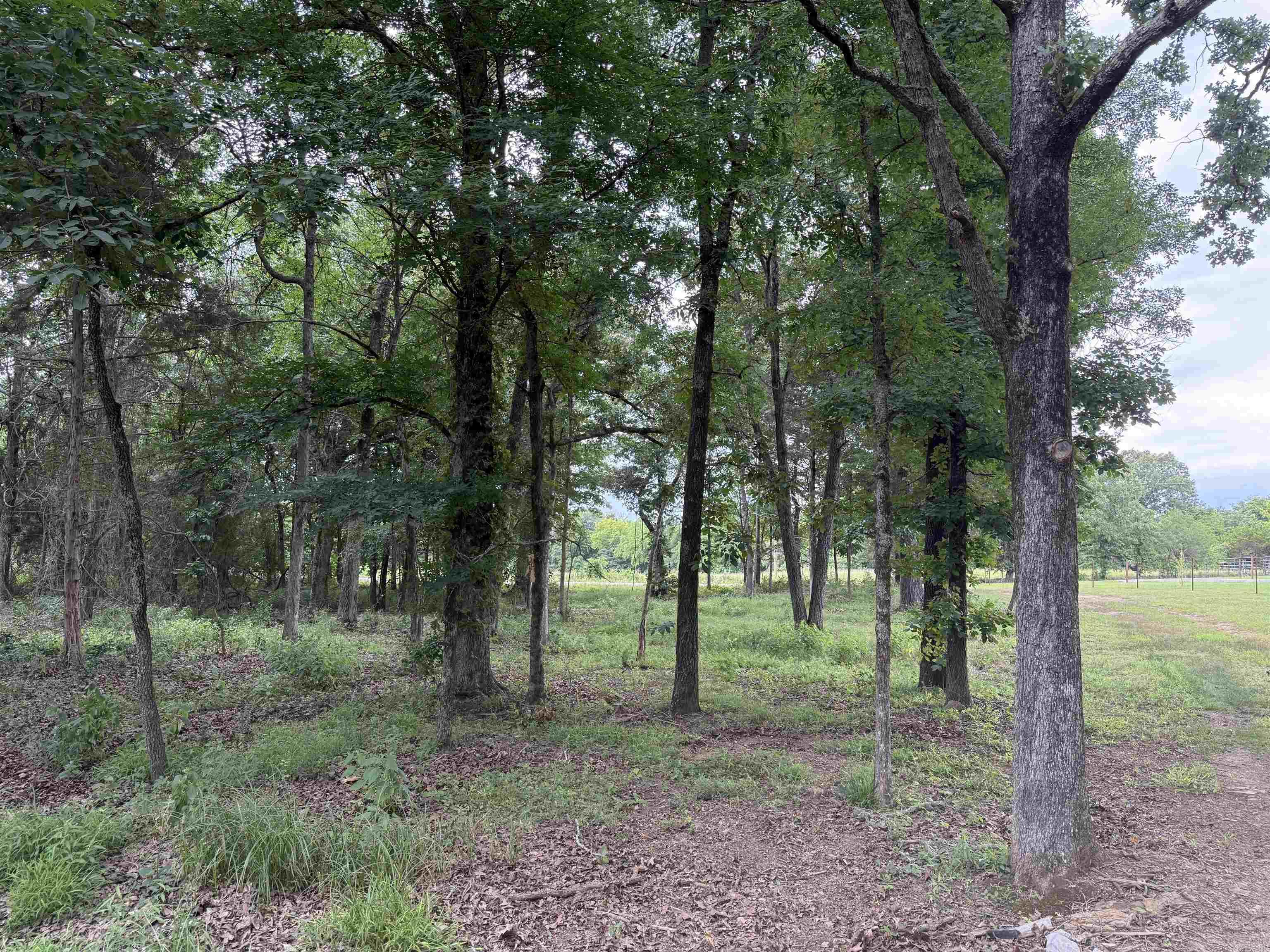 801 Fox Den  El Paso, AR