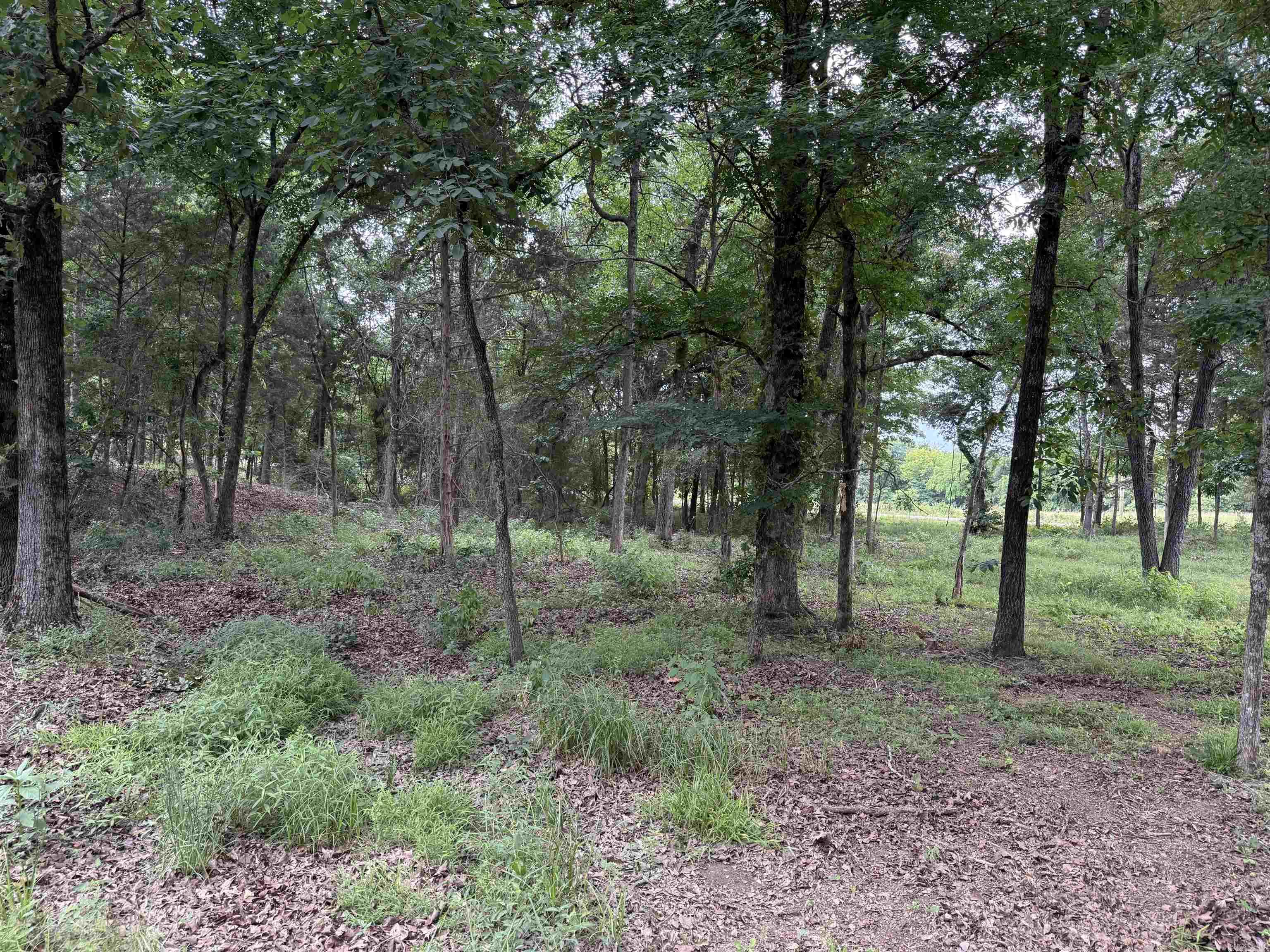 801 Fox Den  El Paso, AR