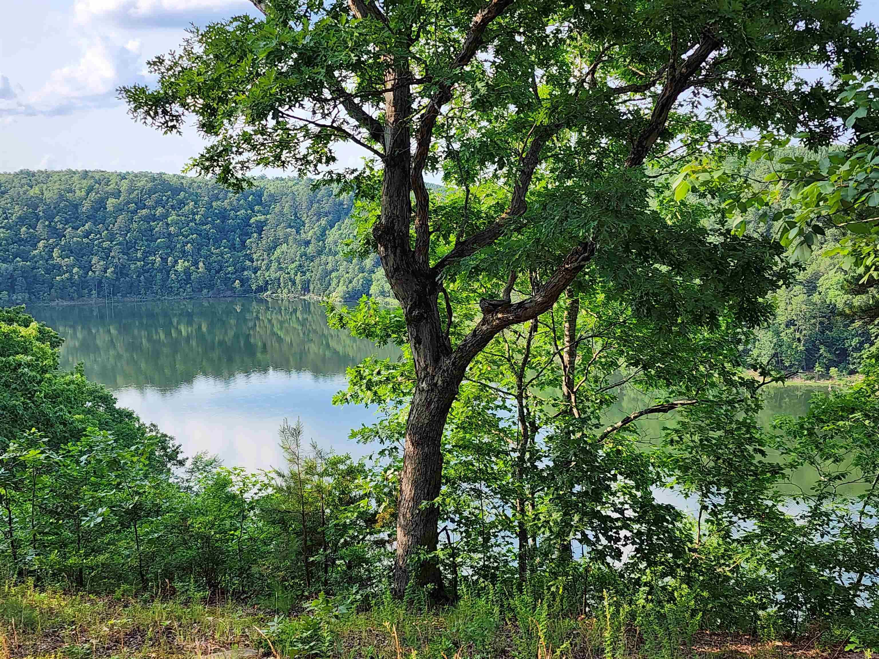 Lot 23 Sylvia Finch Misty Mountain  Searcy, AR
