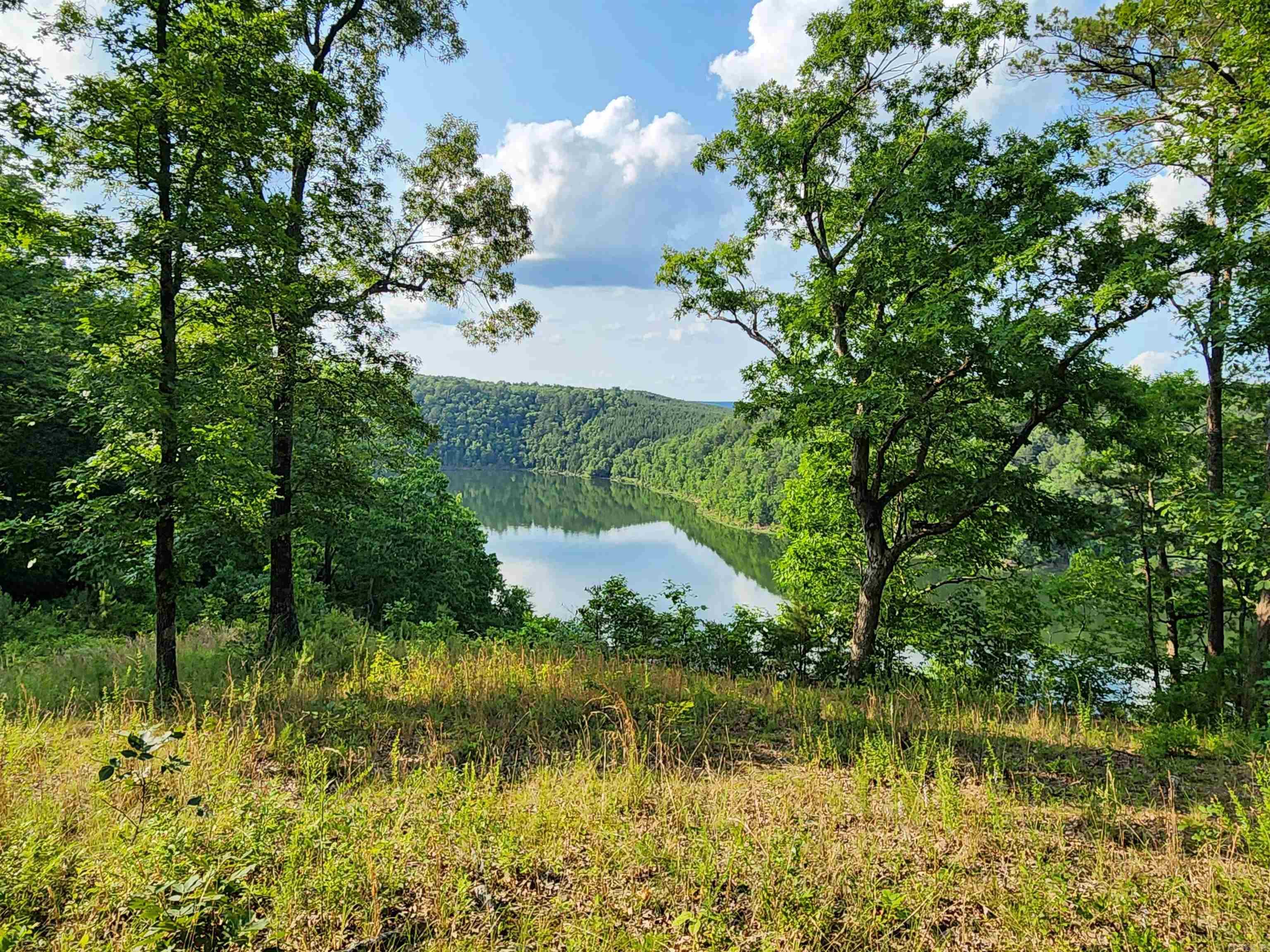 Lot 23 Sylvia Finch Misty Mountain  Searcy, AR