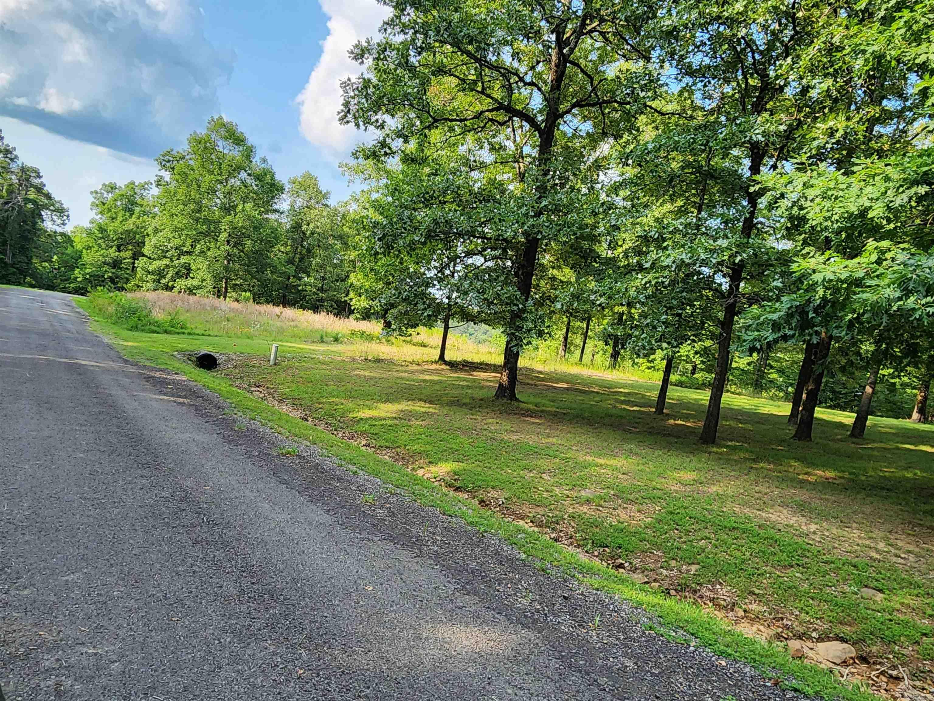 Lot 23 Sylvia Finch Misty Mountain  Searcy, AR