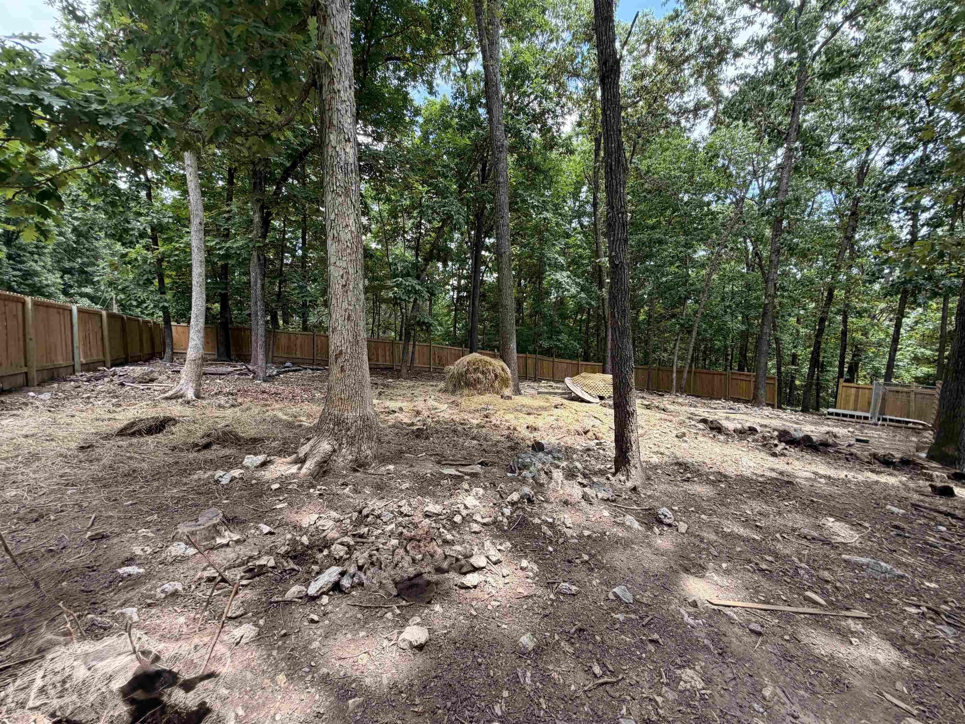 39 Dogwood  Williford, AR