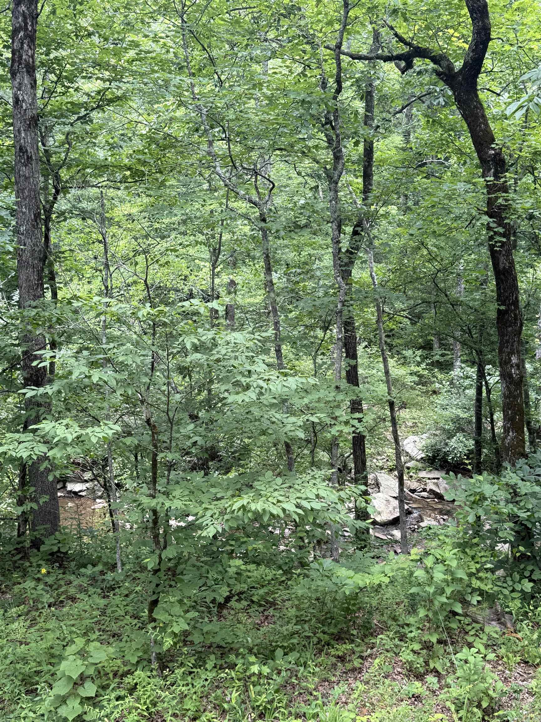113 Wells Drive  Clinton, AR