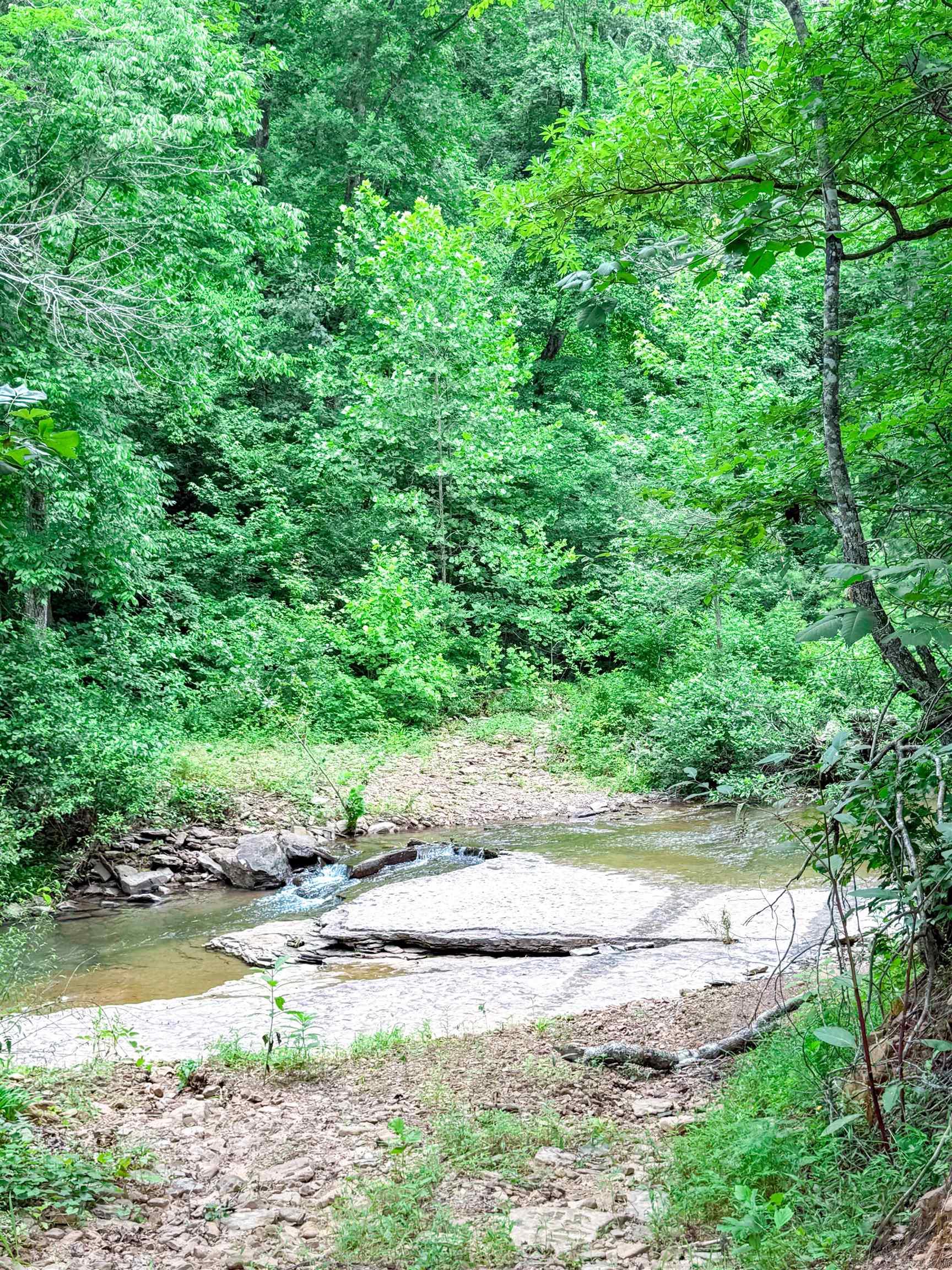 113 Wells Drive  Clinton, AR