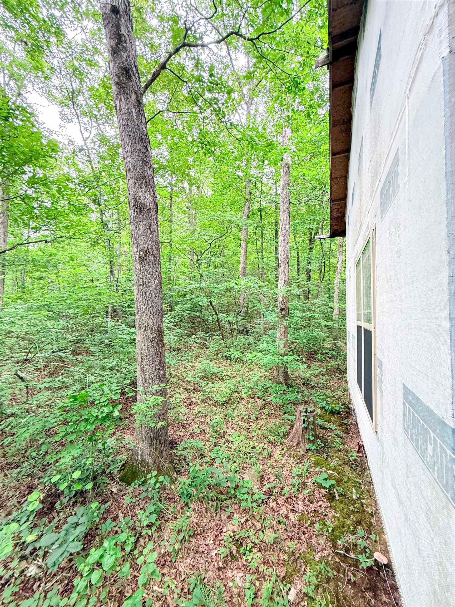 113 Wells Drive  Clinton, AR