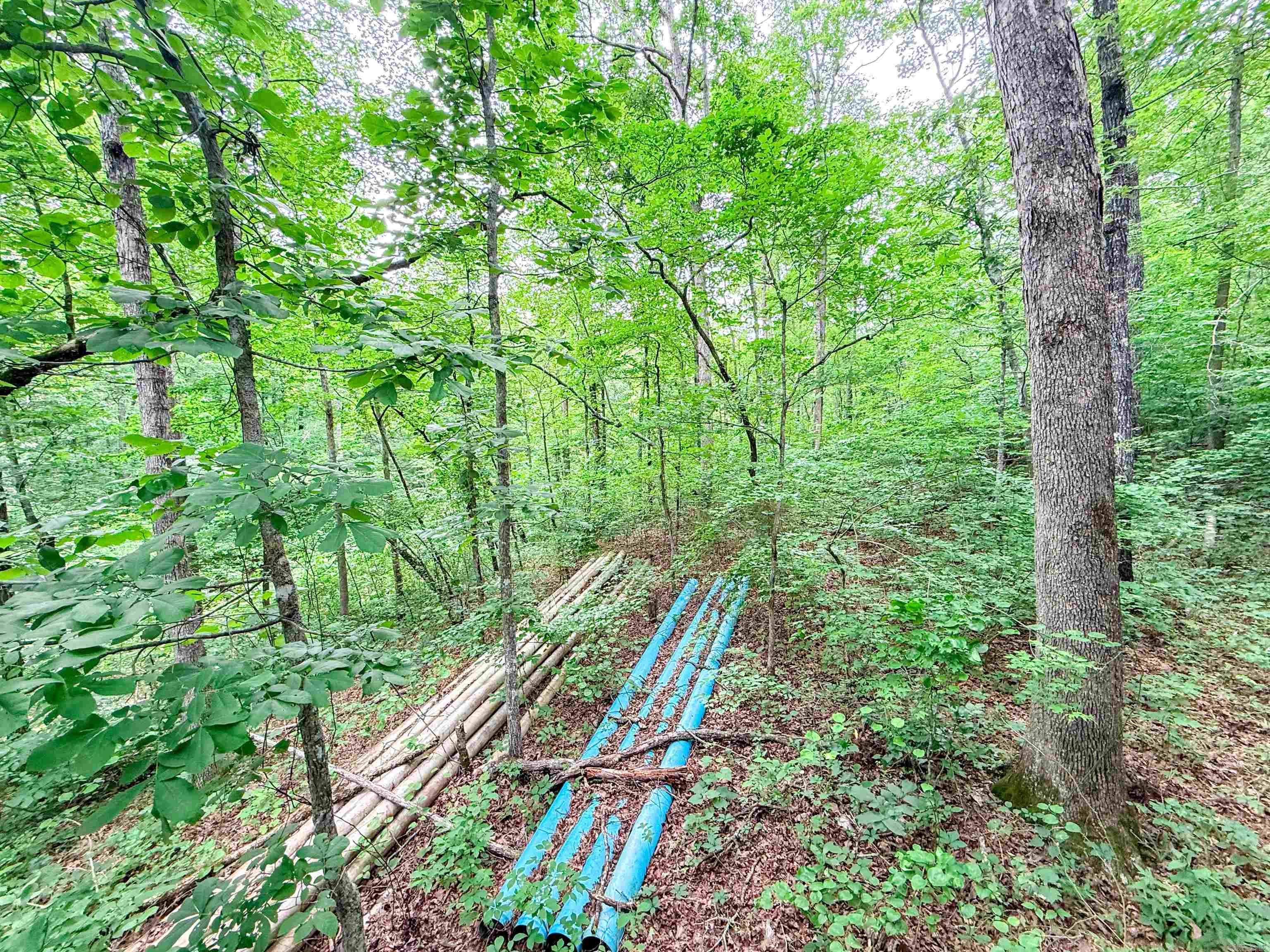 113 Wells Drive  Clinton, AR