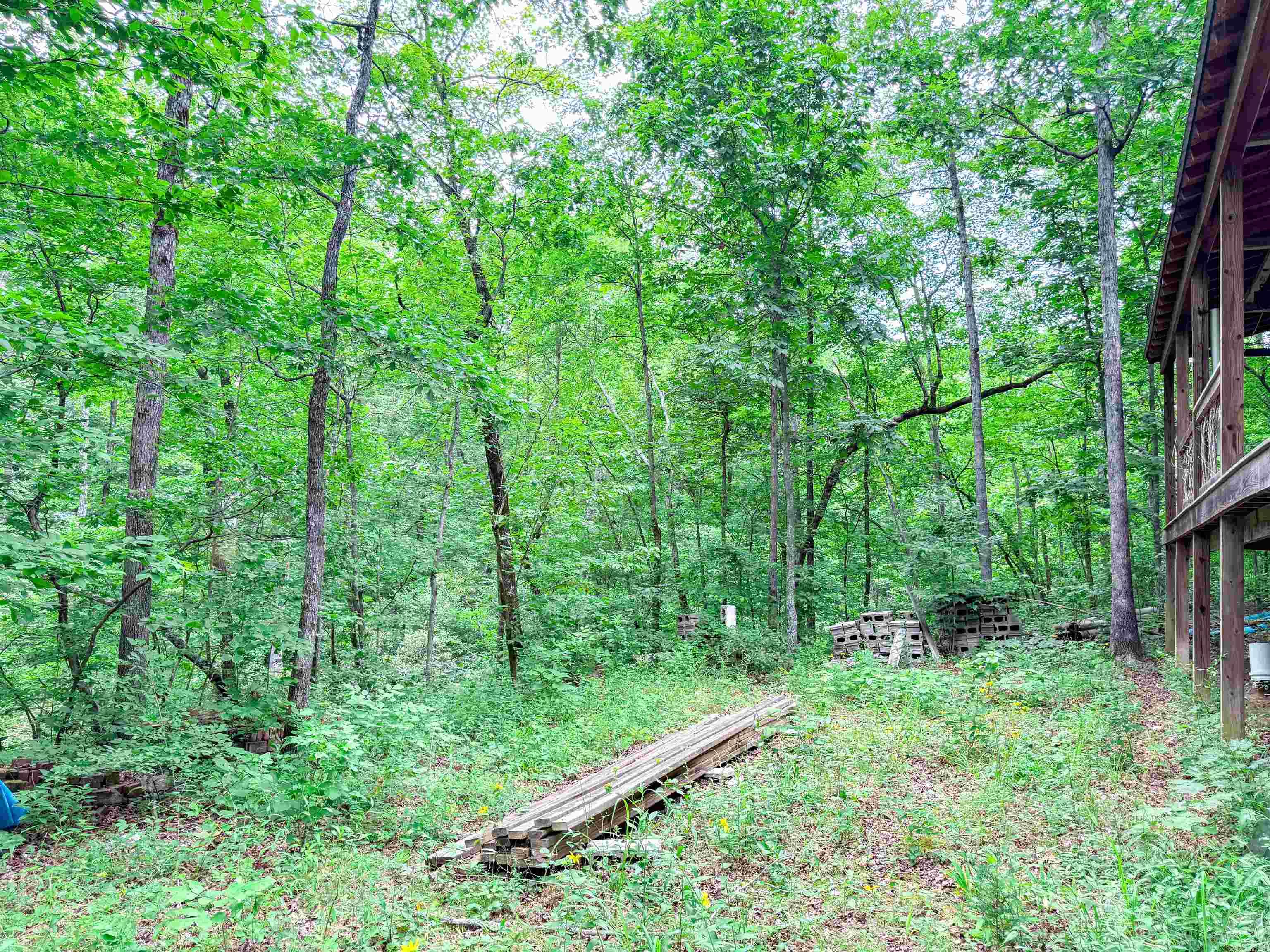 113 Wells Drive  Clinton, AR