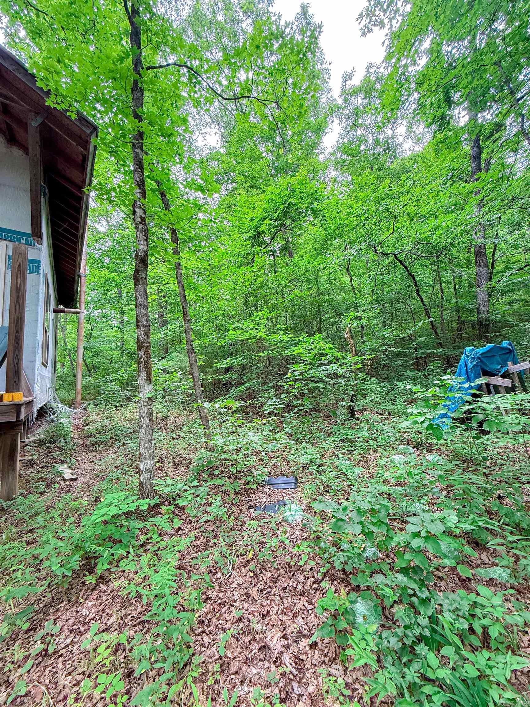 113 Wells Drive  Clinton, AR