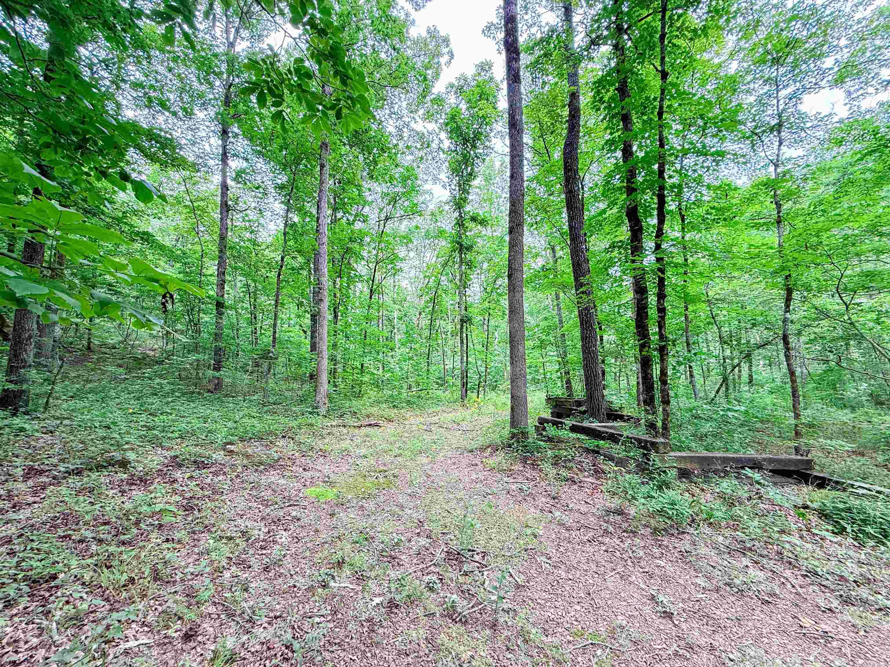 113 Wells Drive  Clinton, AR