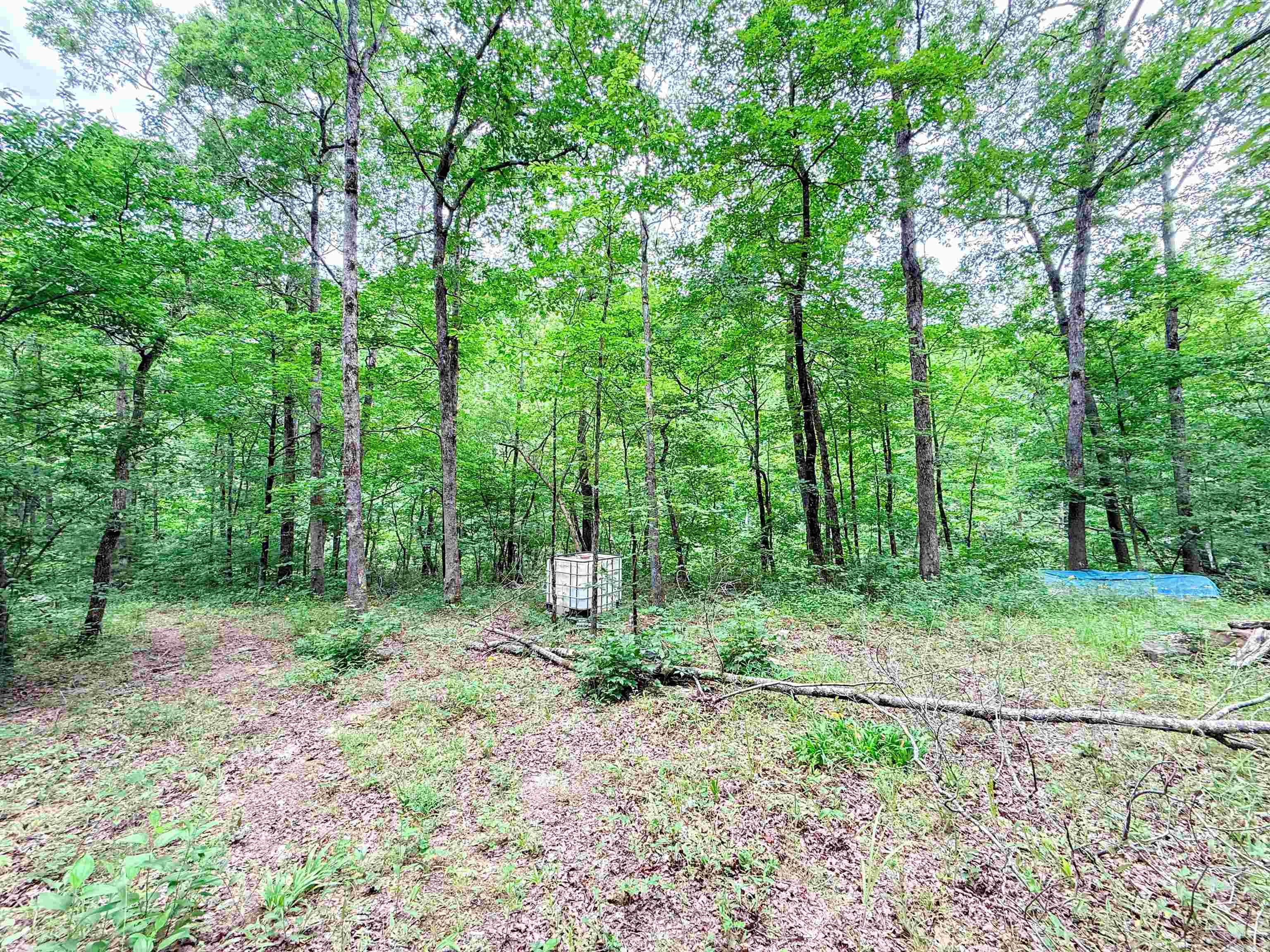 113 Wells Drive  Clinton, AR
