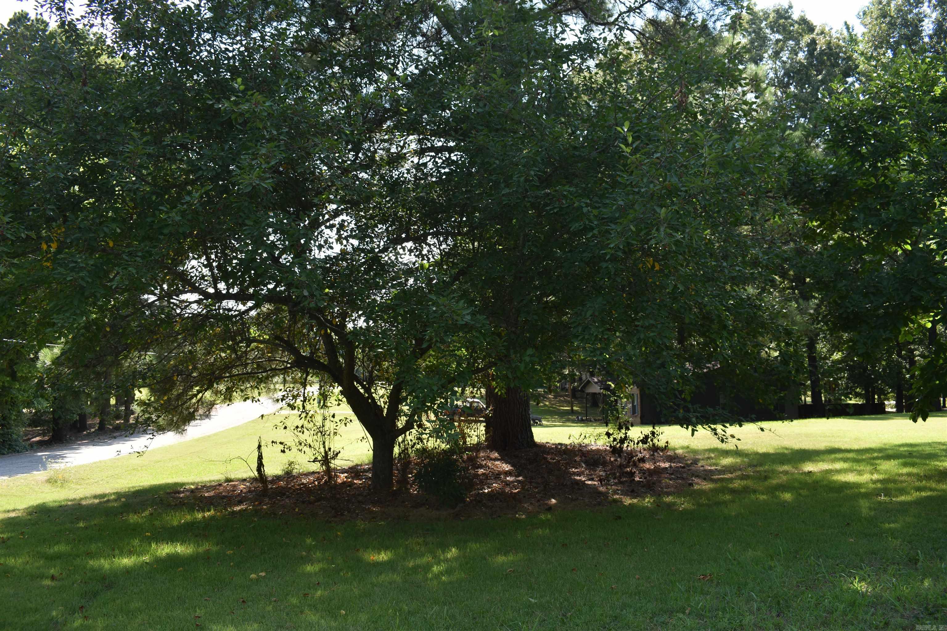 292 County Road 320  Jonesboro, AR