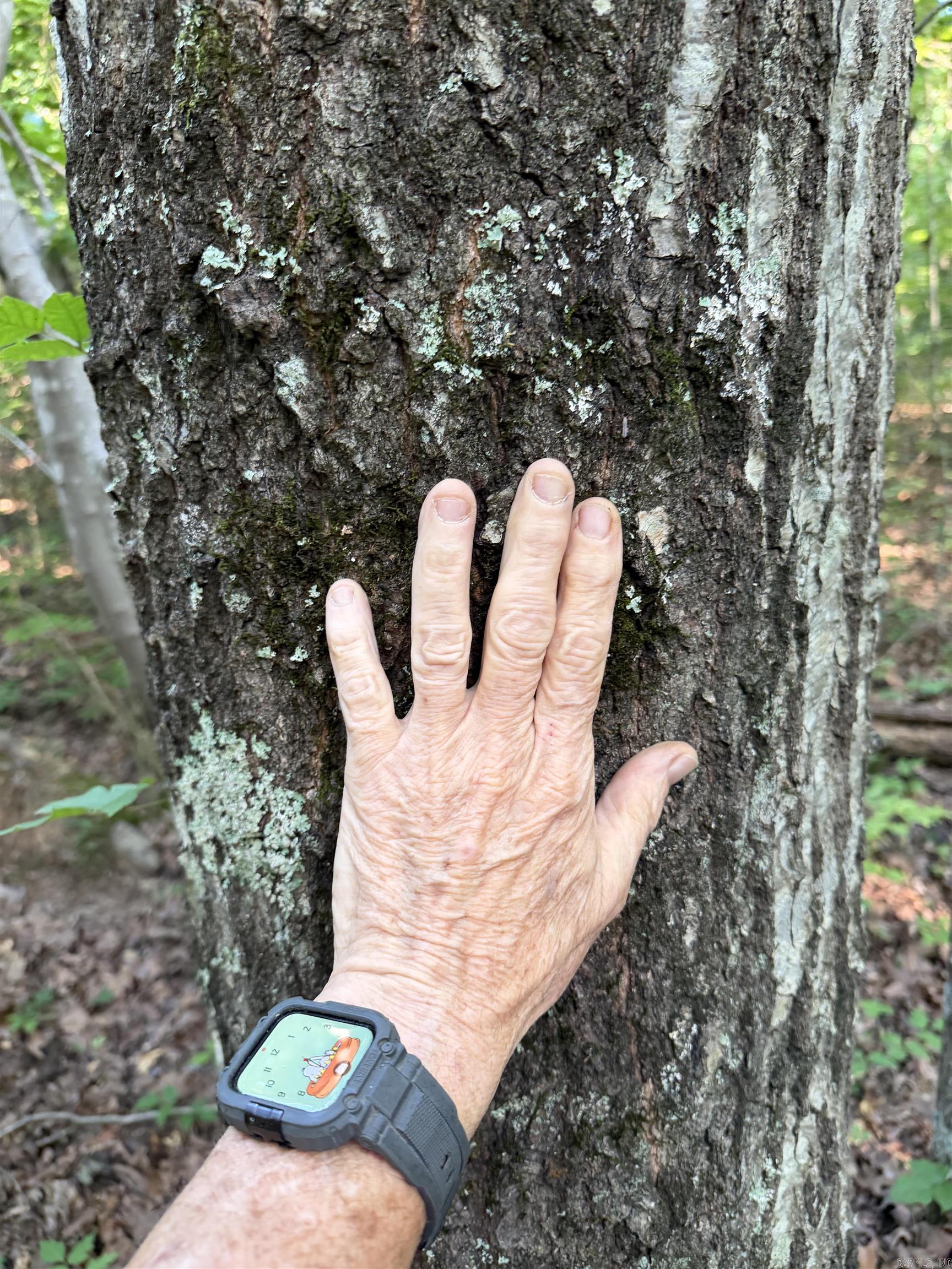  Kirkendoll  Clinton, AR