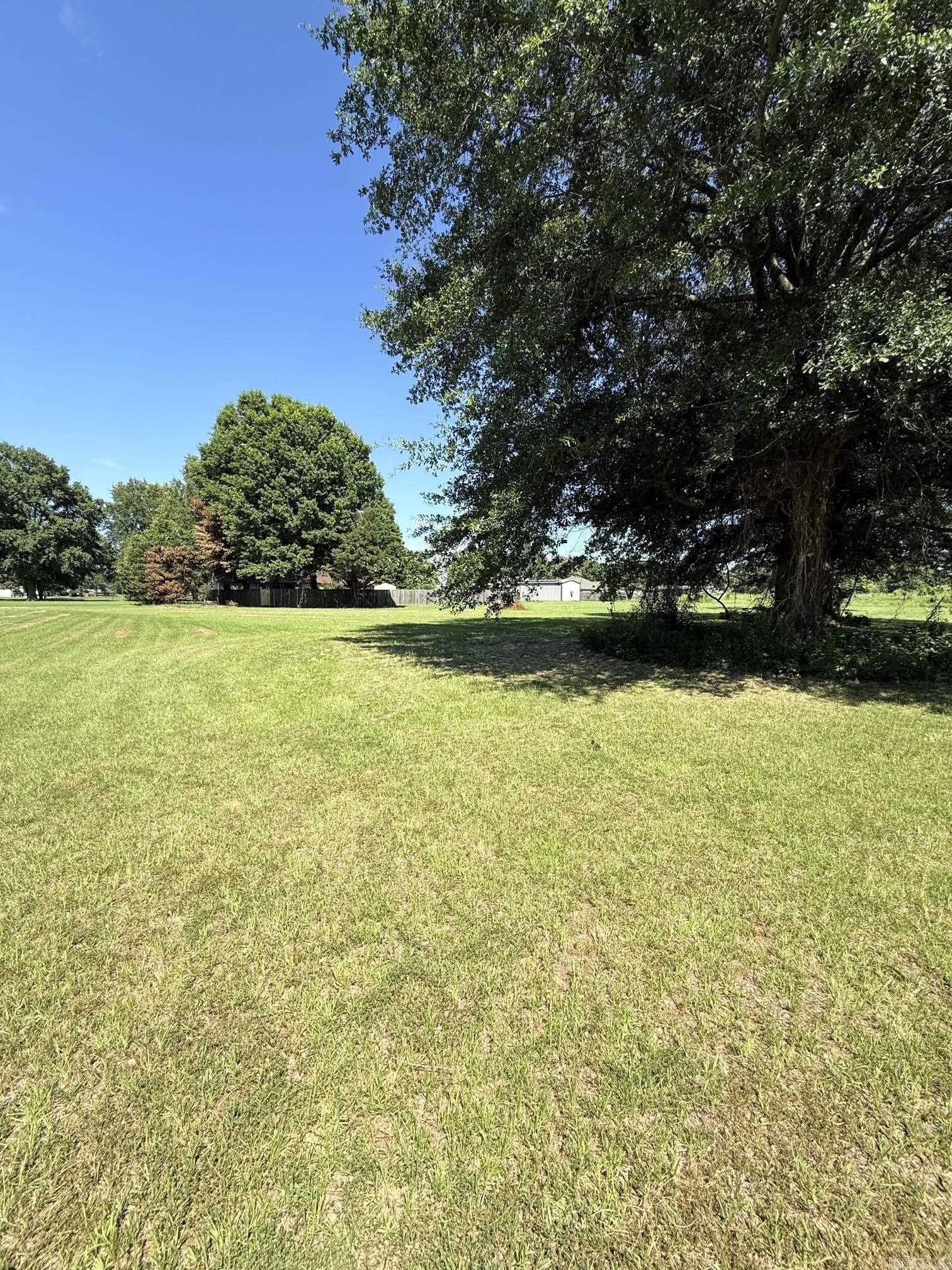 Lot 86 Lucy  Scott, AR