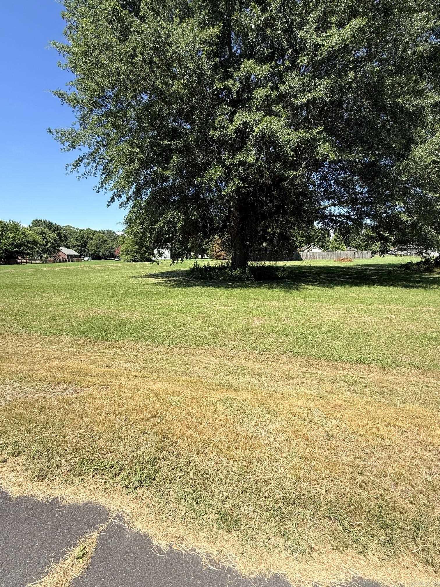 Lot 86 Lucy  Scott, AR