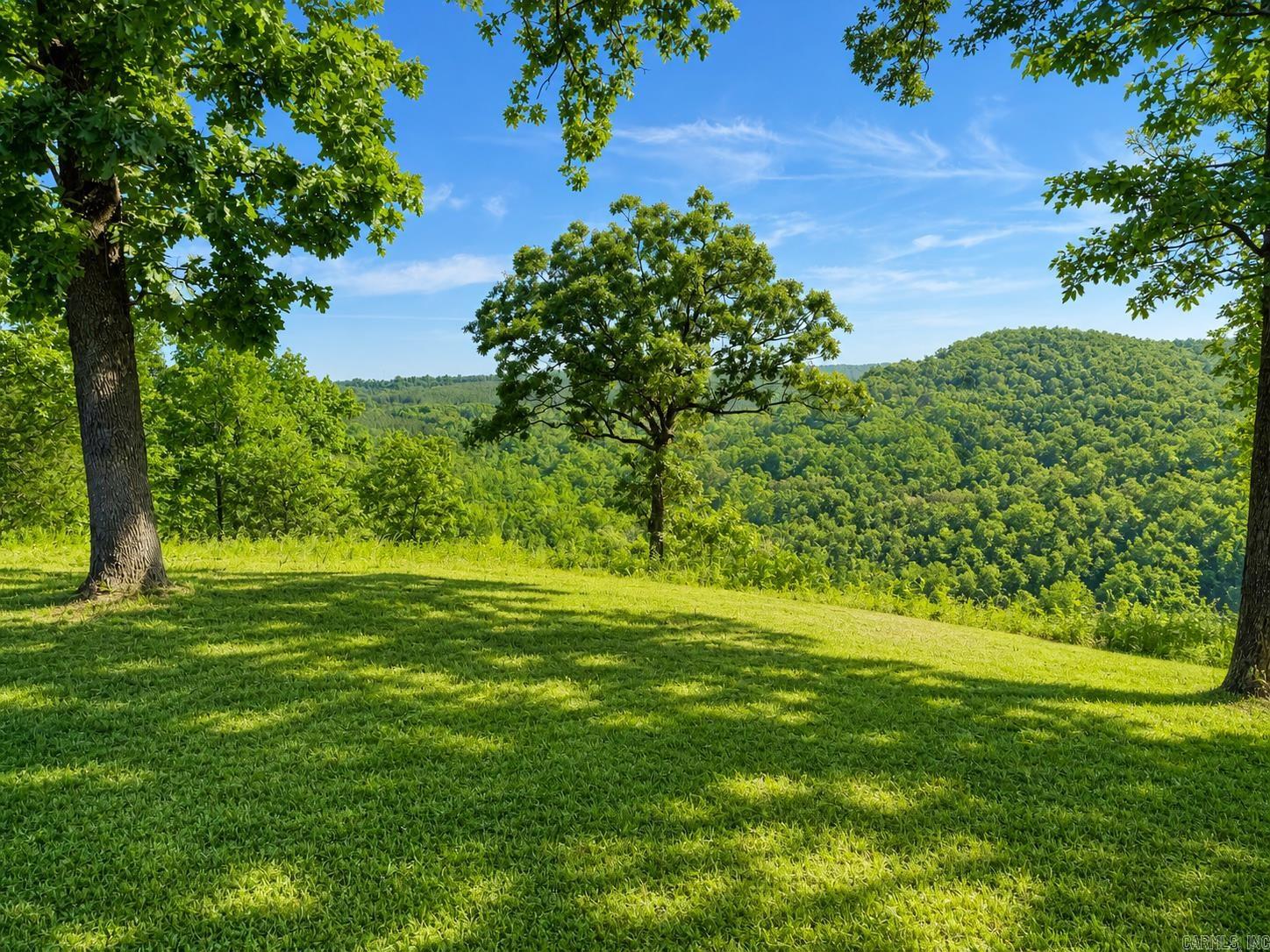 137 Mill Creek  Greenbrier, AR