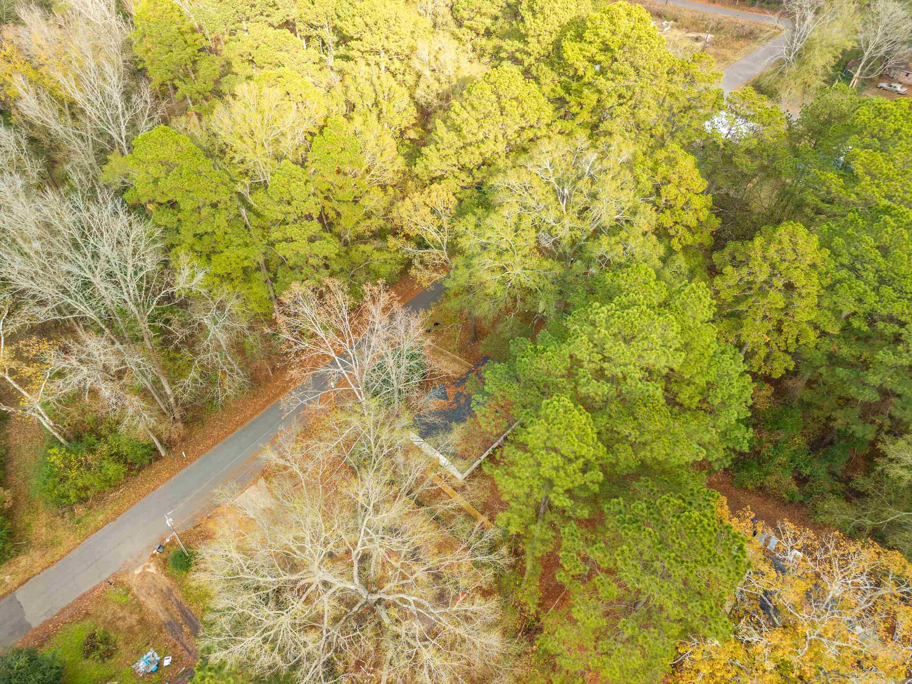 1613 O'Connell  Arkadelphia, AR