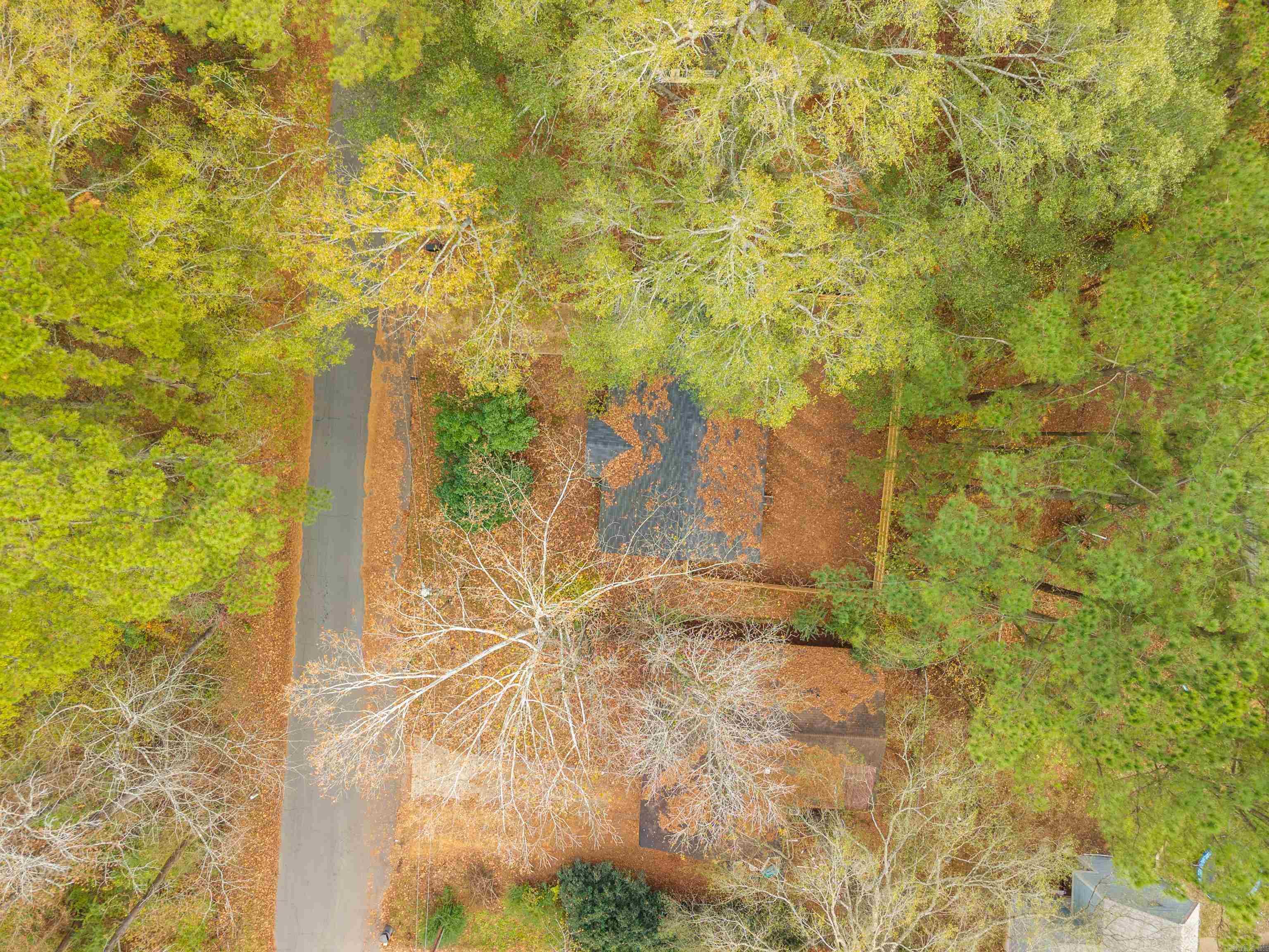 1613 O'Connell  Arkadelphia, AR