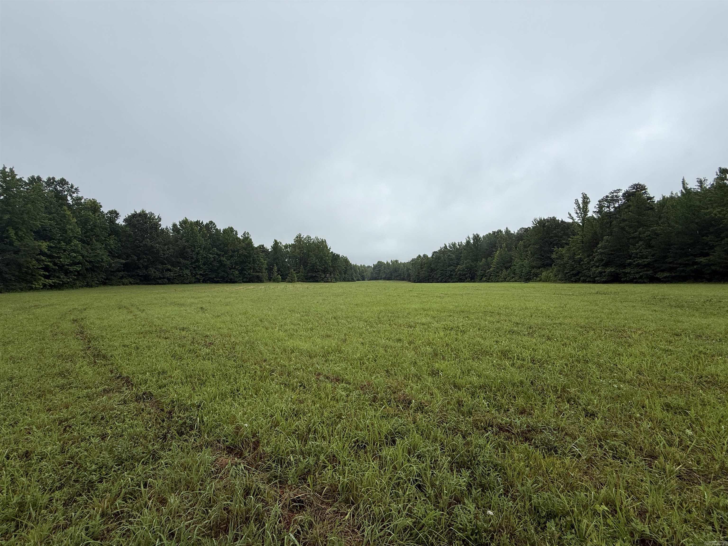 100 Acres Highway 34 West  Beech Grove, AR