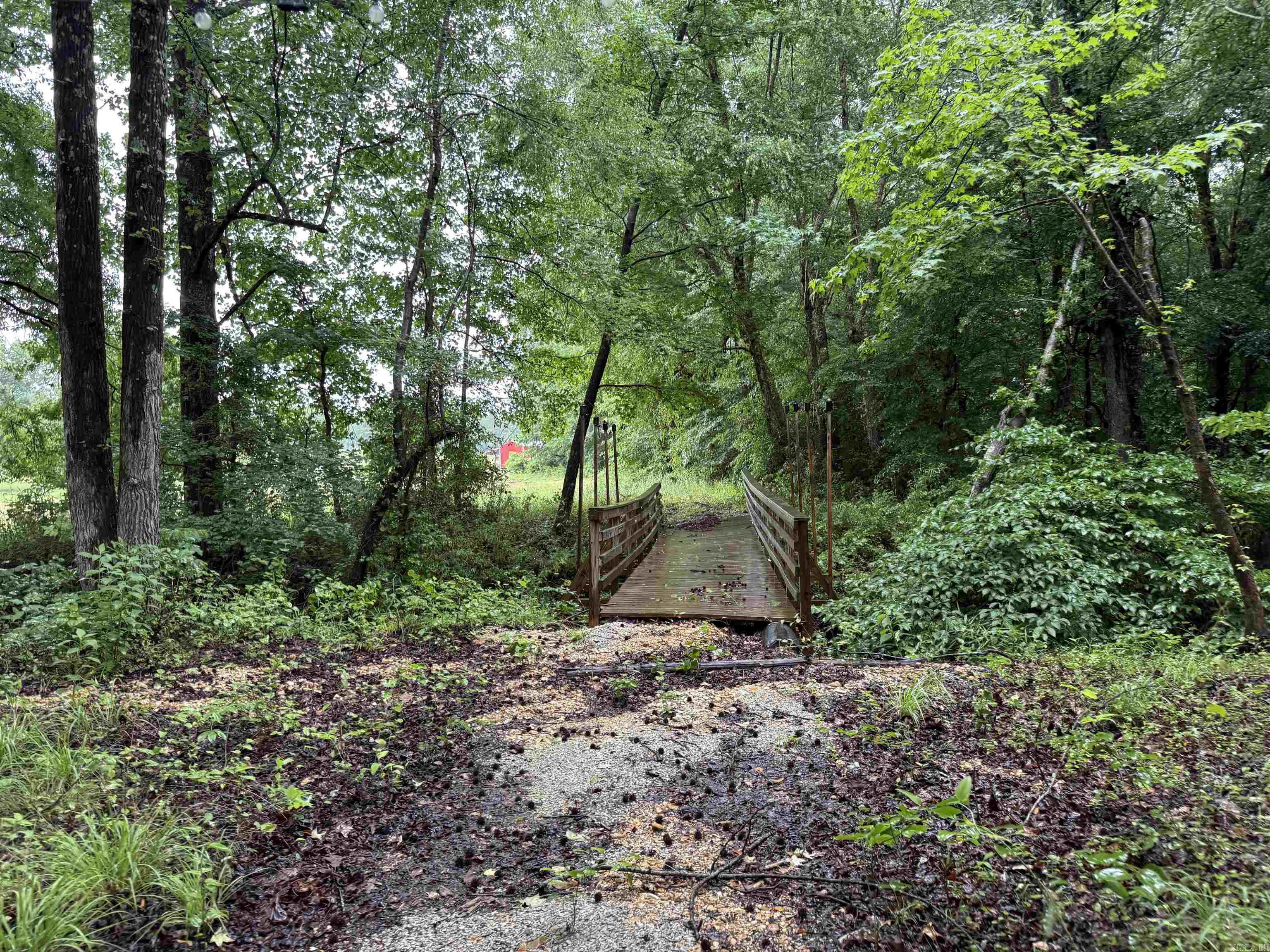 100 Acres Highway 34 West  Beech Grove, AR