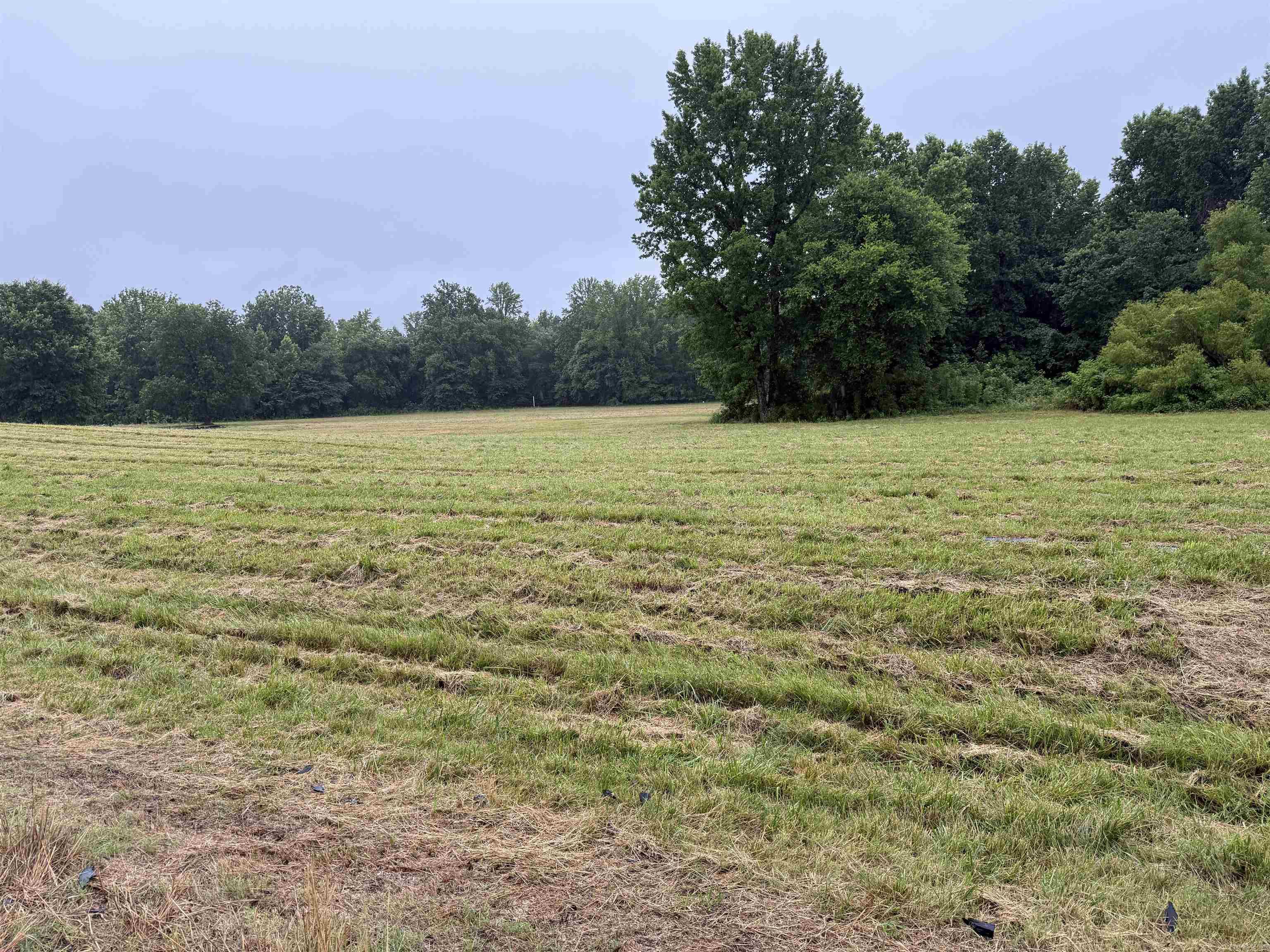 100 Acres Highway 34 West  Beech Grove, AR